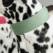 Kentucky Dogwear Halsband Jacquard Verde oliva