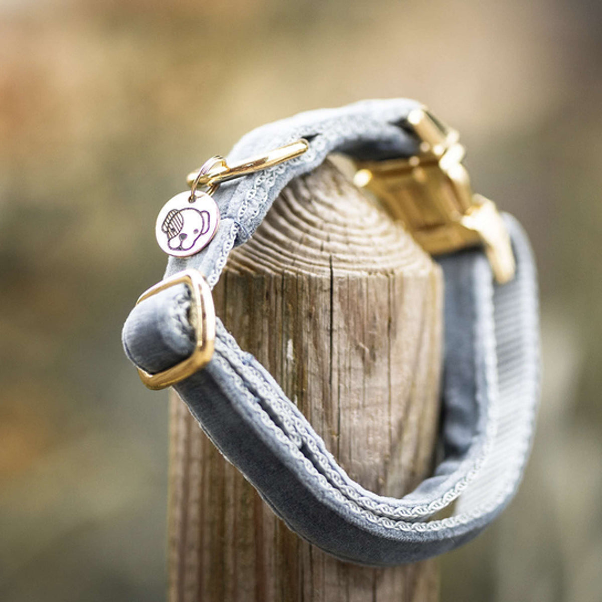 Kentucky Dogwear Halsband Velvet Azul claro