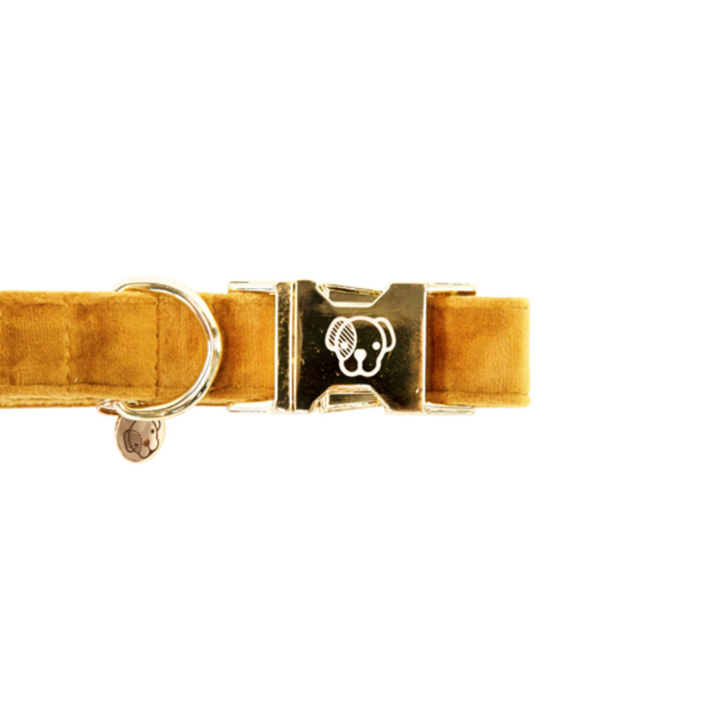 Kentucky Dogwear Halsband Velvet Mostaza