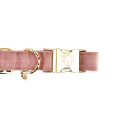 Kentucky Dogwear Halsband Velvet Old Rose