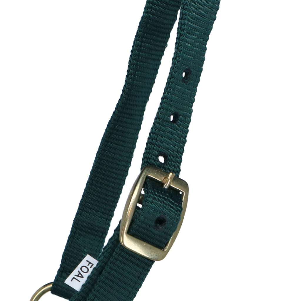 Norton Cabestro para Potro con Ramal Verde Oscuro