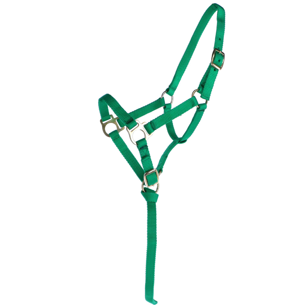 Norton Cabestro para Potro con Ramal Verde claro