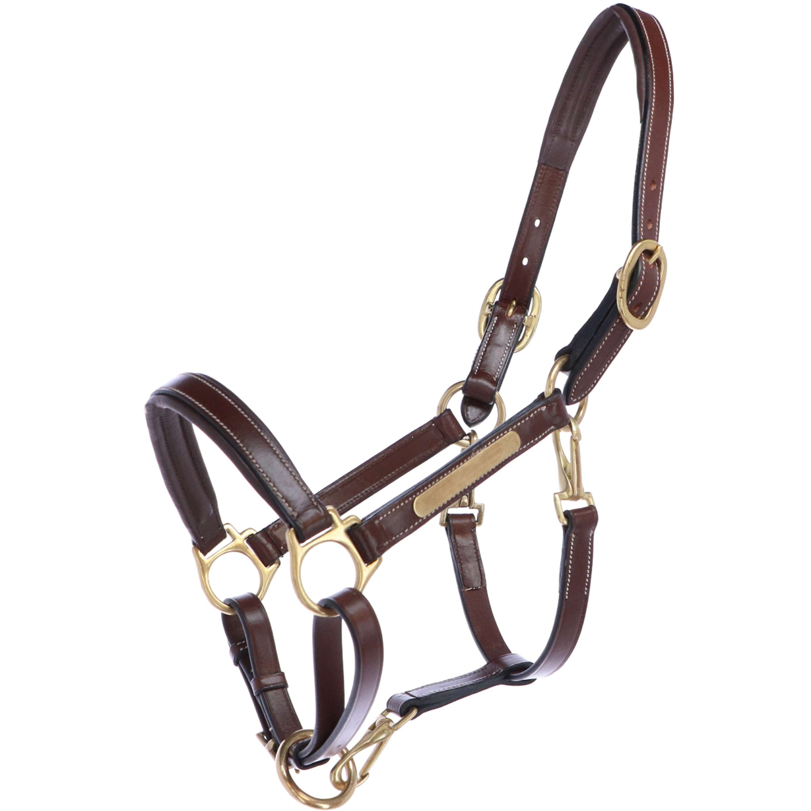 Eric Thomas Cabezada Pro Cuidado del Cuero Havanna Eric Thomas Cabezada Pro Cuidado del Cuero Havanna