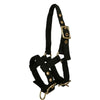 Norton Cabestro Mini Ajustable Negro