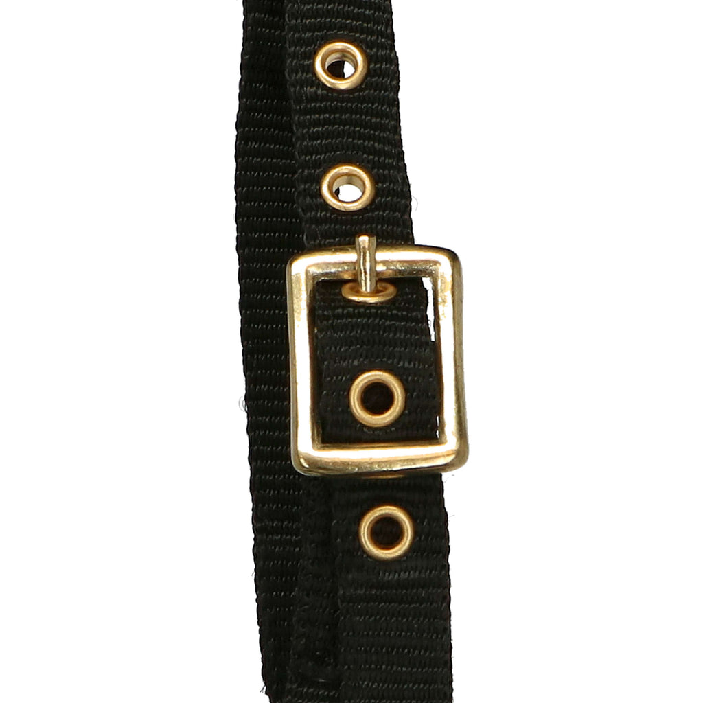 Norton Cabestro Mini Ajustable Negro