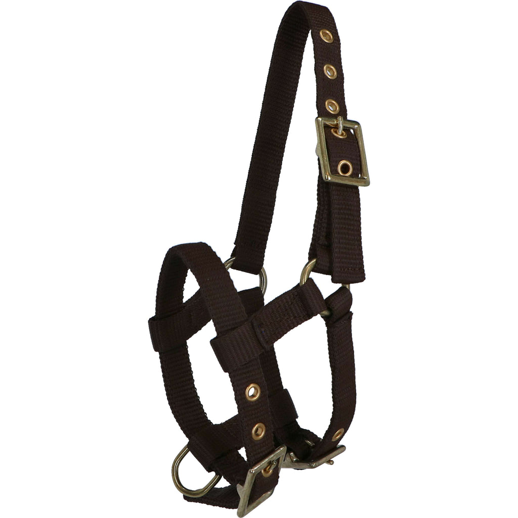 Norton Cabestro Mini Ajustable Marron