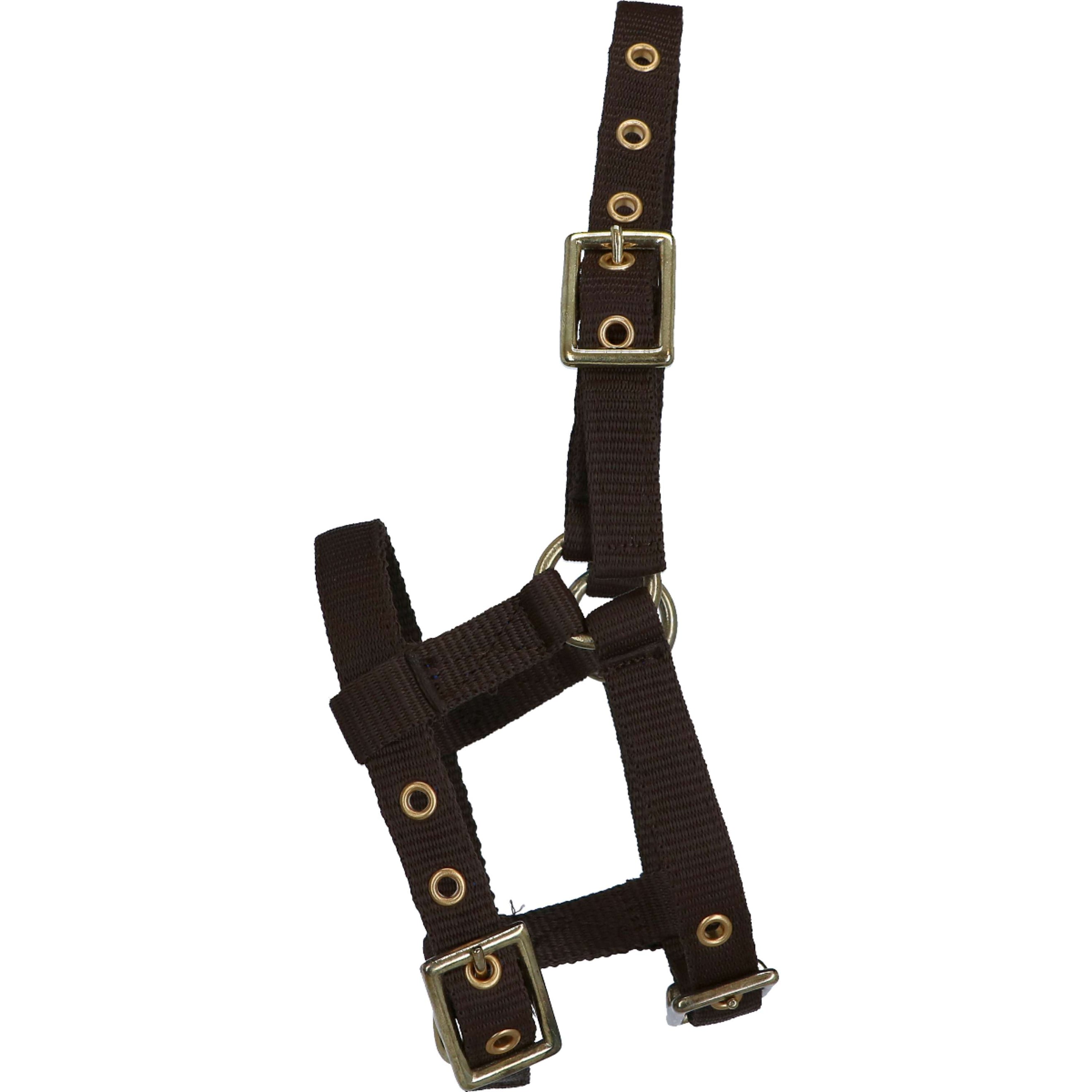 Norton Cabestro Mini Ajustable Marron