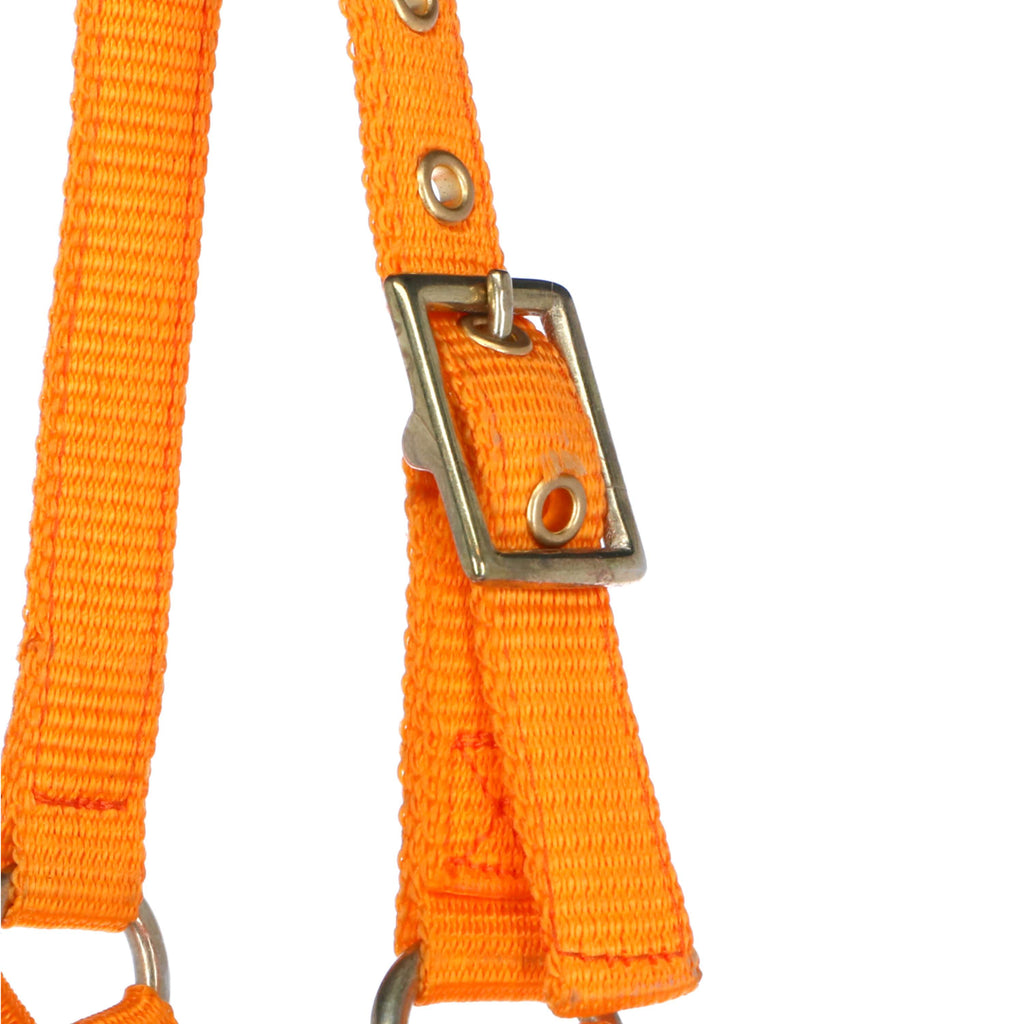 Norton Cabestro Mini Ajustable Naranja