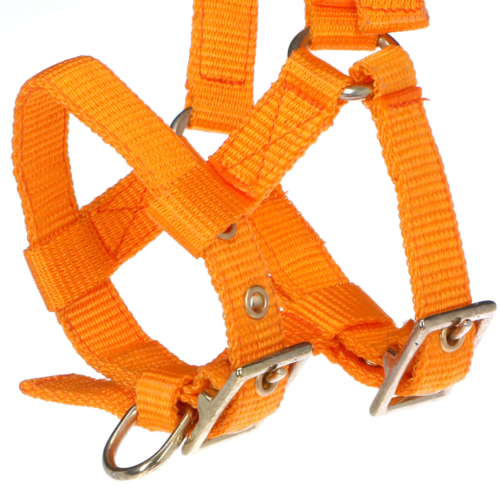 Norton Cabestro Mini Ajustable Naranja