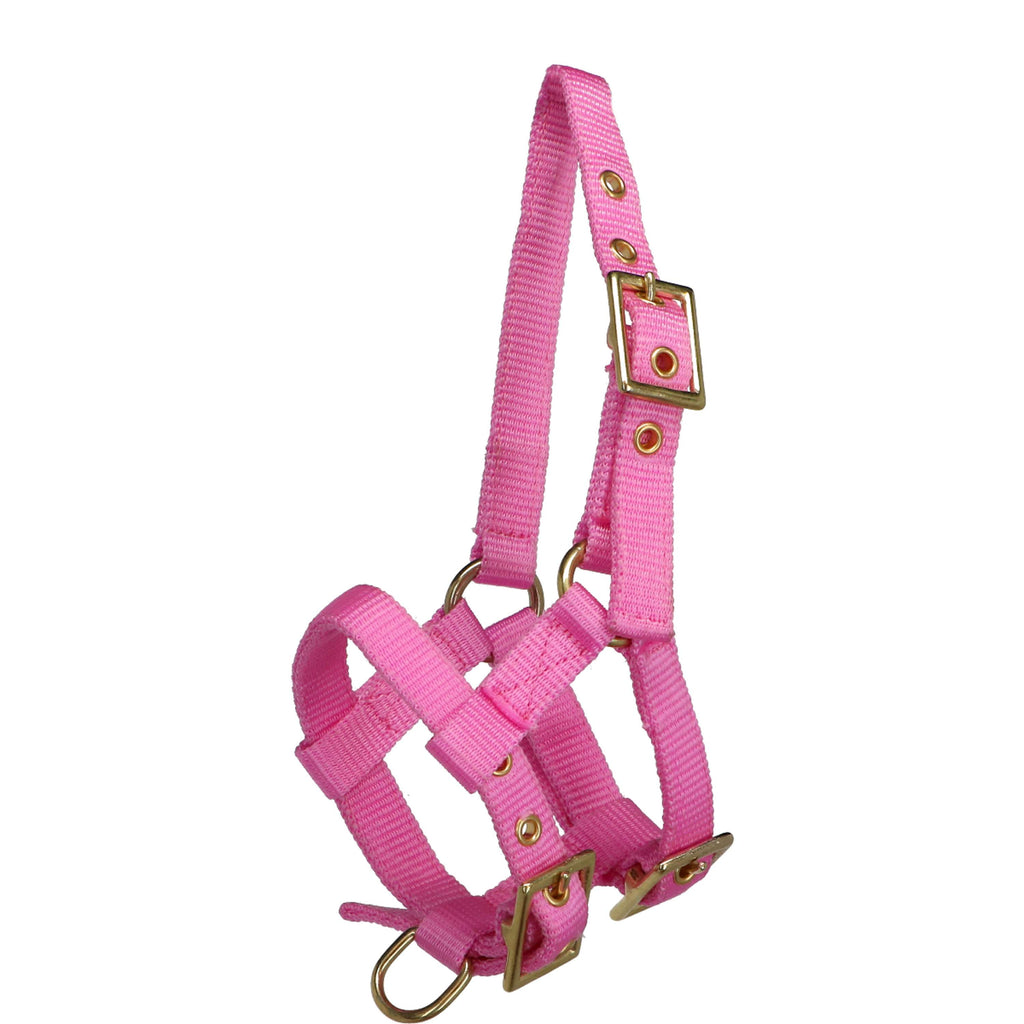 Norton Cabestro Mini Ajustable Rosa