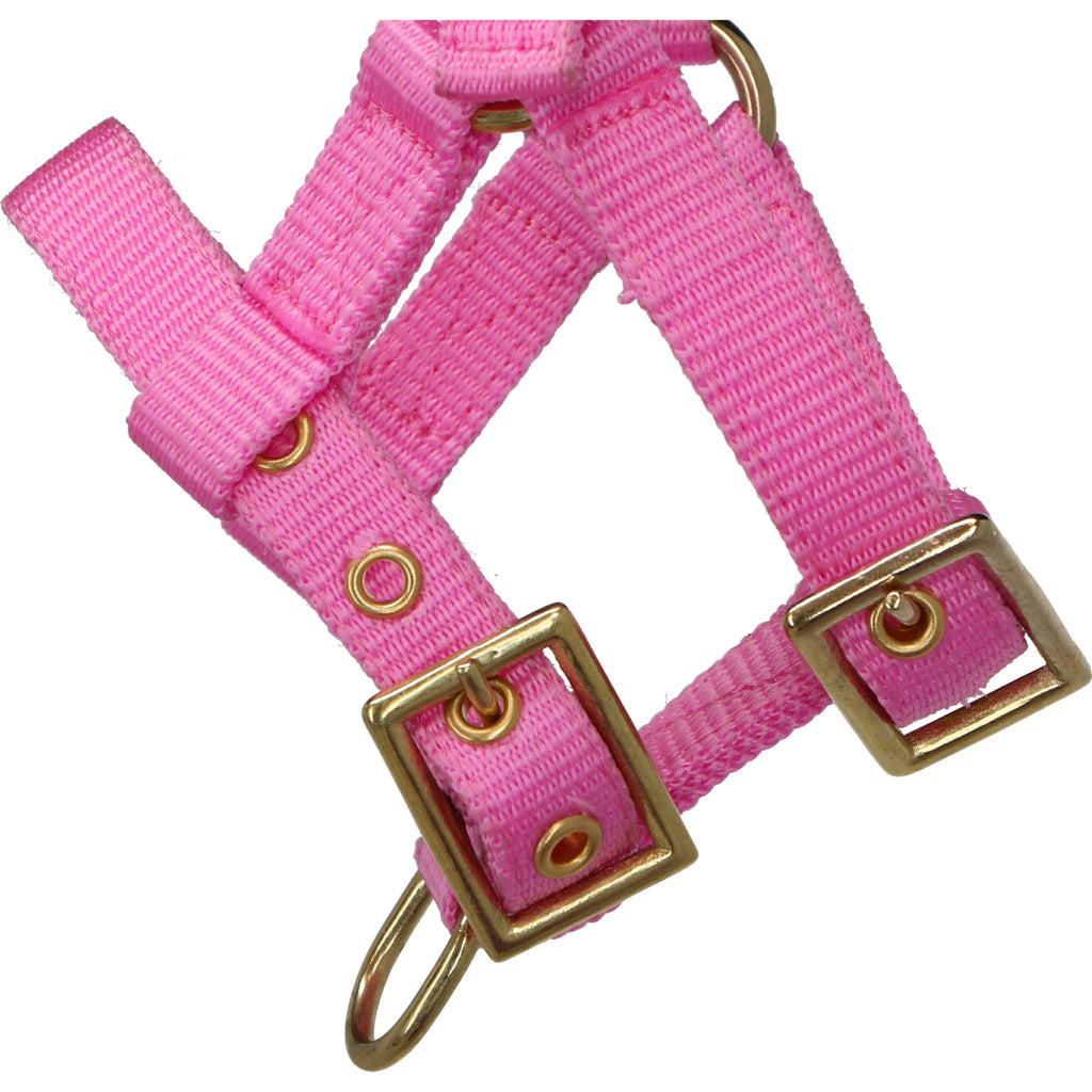 Norton Cabestro Mini Ajustable Rosa