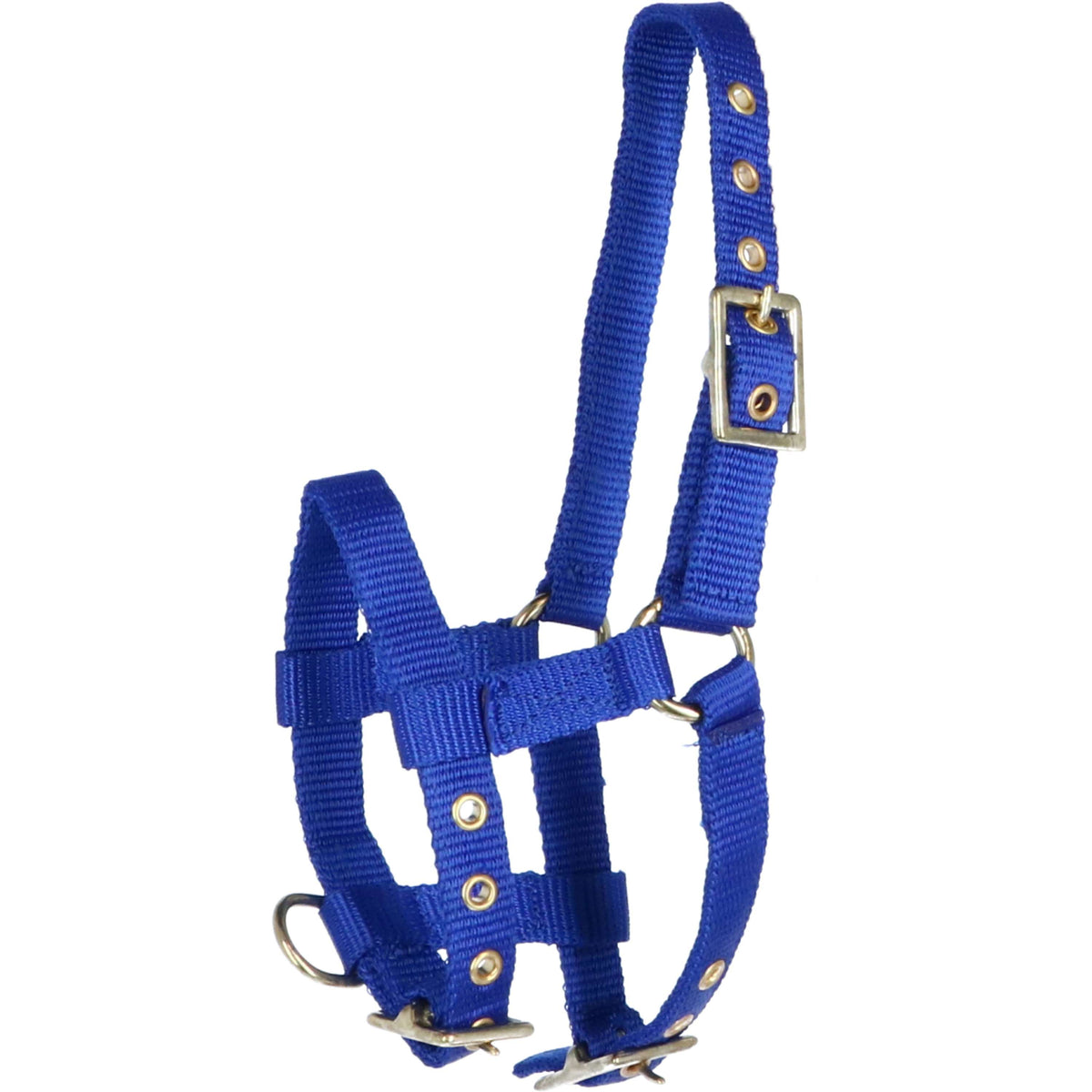 Norton Cabezada Mini Ajustable Azul Real