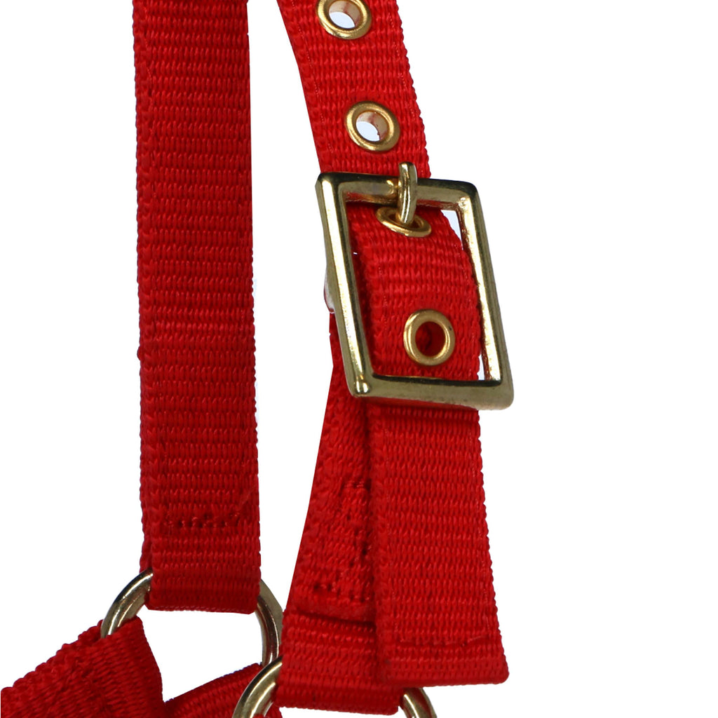 Norton Cabestro Mini Ajustable Rojo