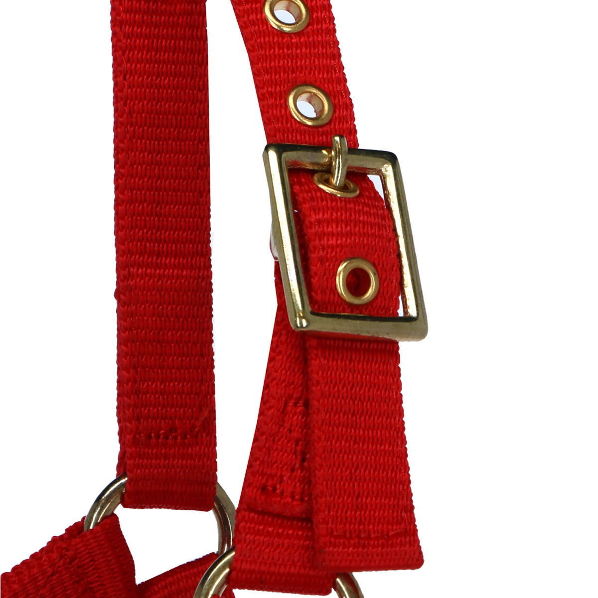 Norton Cabezada Mini Ajustable Rojo