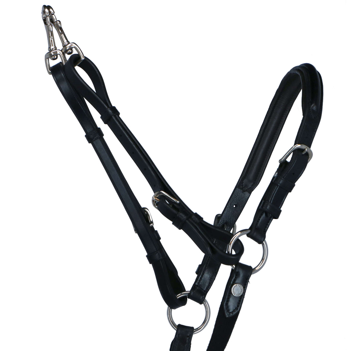 Equiline Arnés de Pecho con Elástico Negro