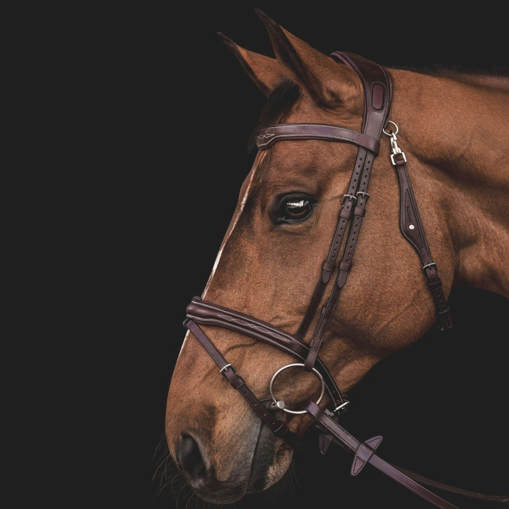 Equiline Brida JP Anatomisch Light Marron