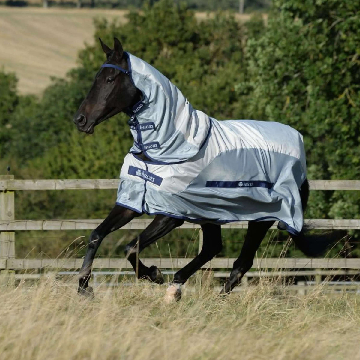 Bucas Buzz-Off Rain & Neck 0g Plateado Azul