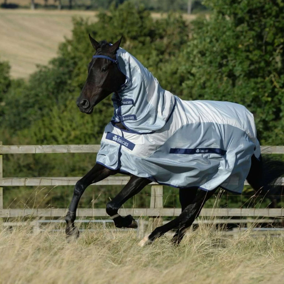 Bucas Buzz-Off Rain & Neck 0g Plateado Azul