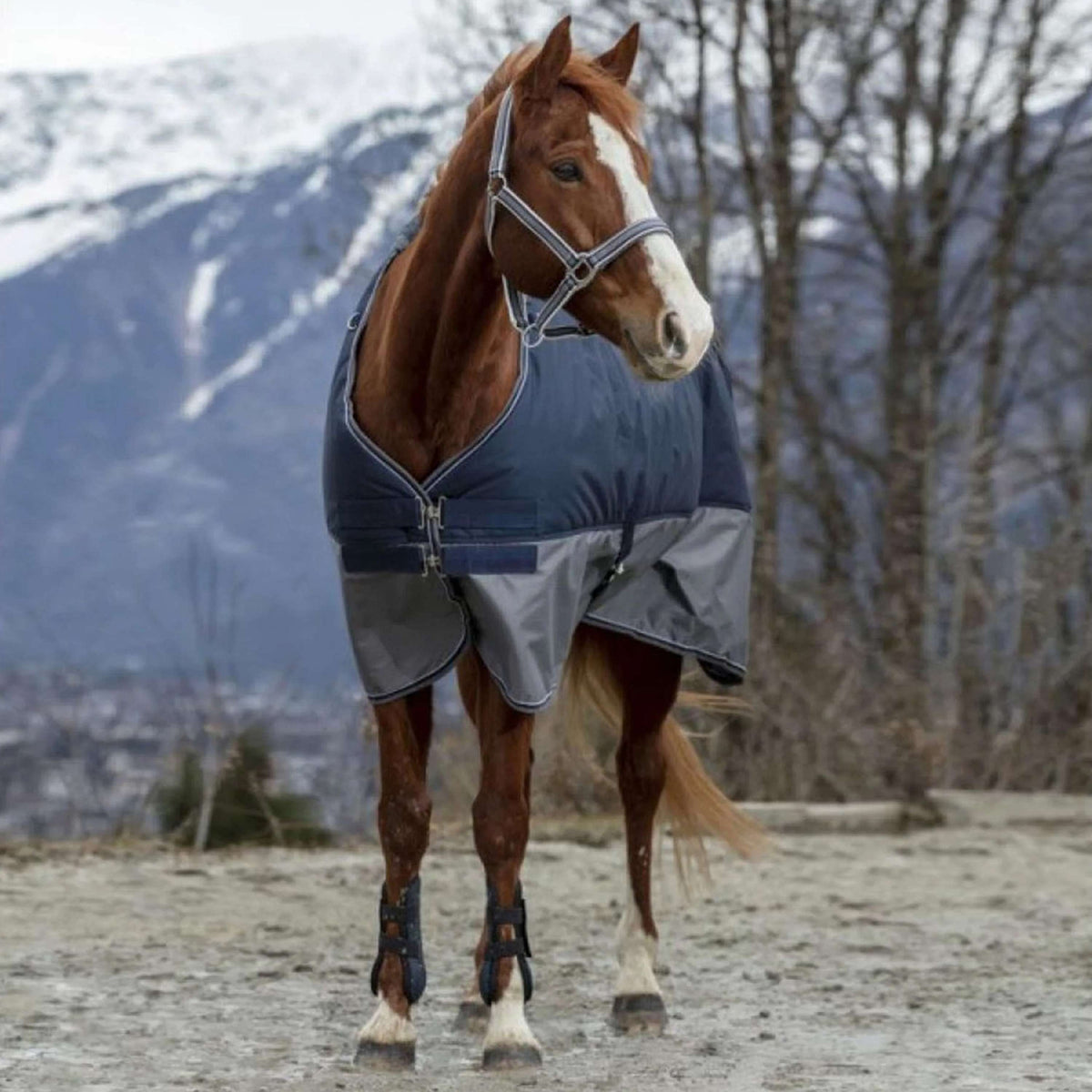 EQUITHÈME Manta Impermeable Tyrex 600D 50g Marino/Gris Puntos