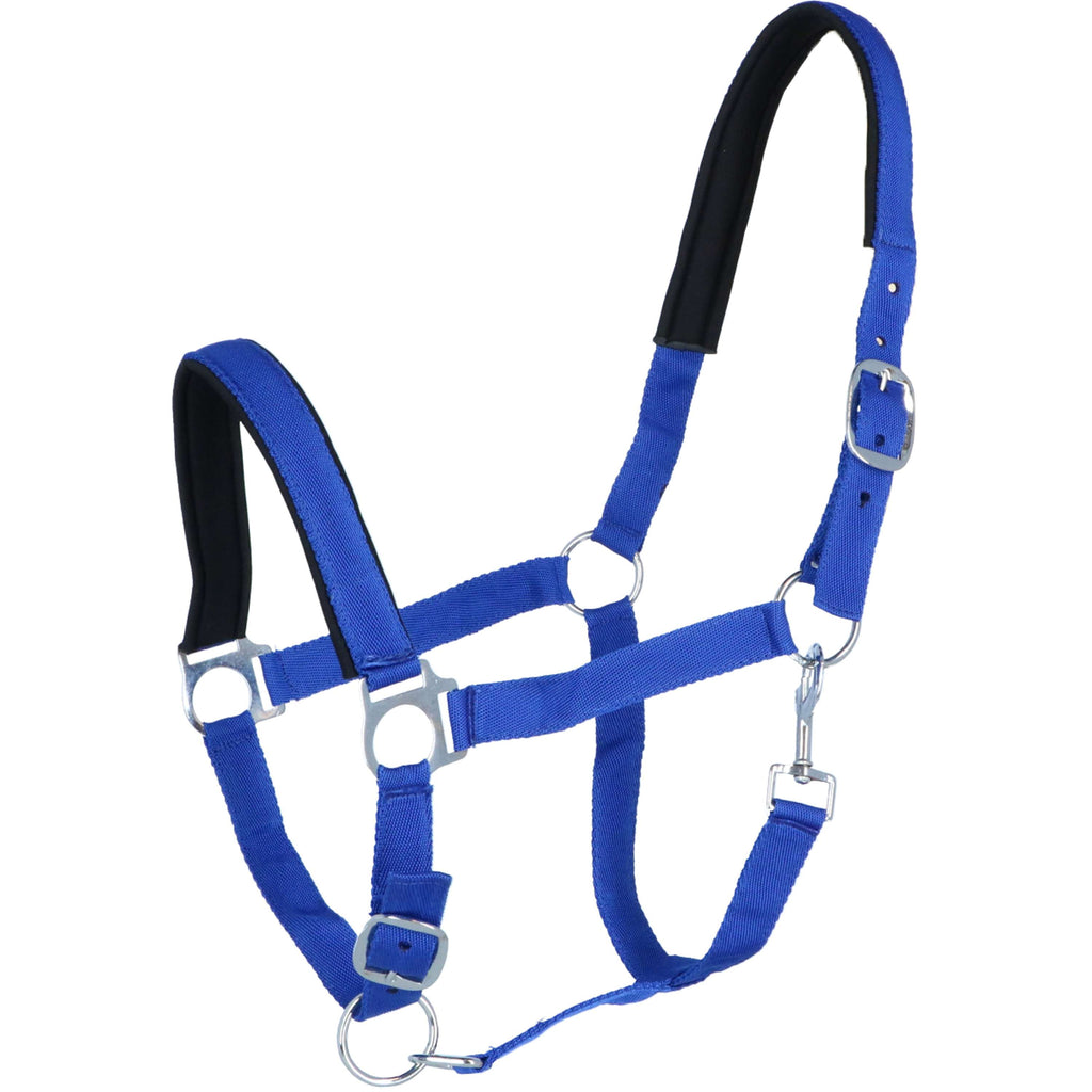 Norton Cabestro Forrado con Neopreno Azul Real