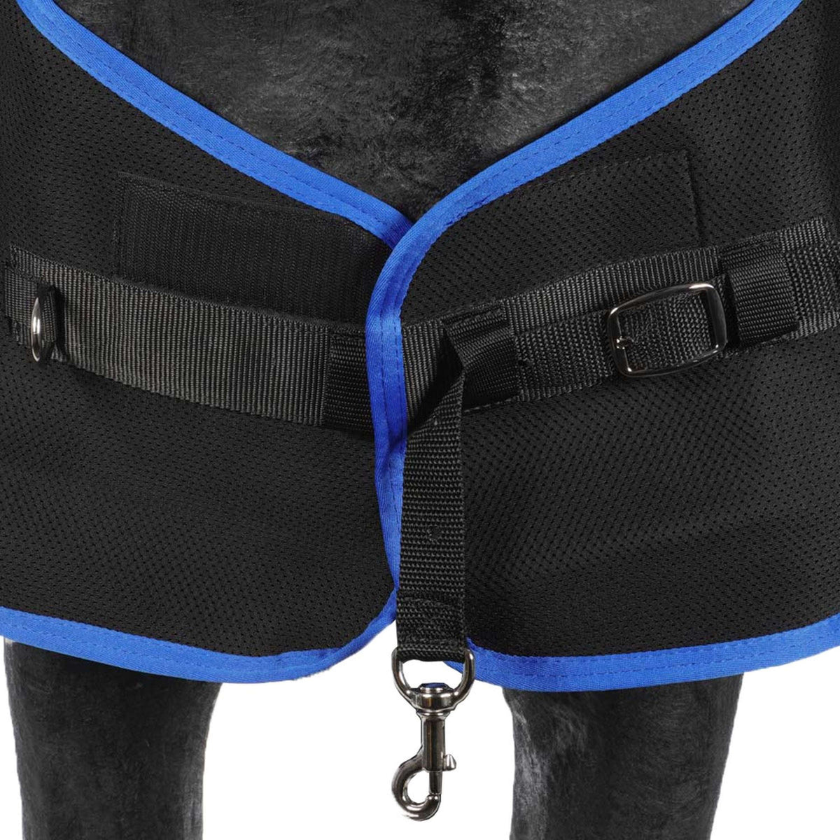 Veredus Manta Terapéutica Magnetik Rug Negro