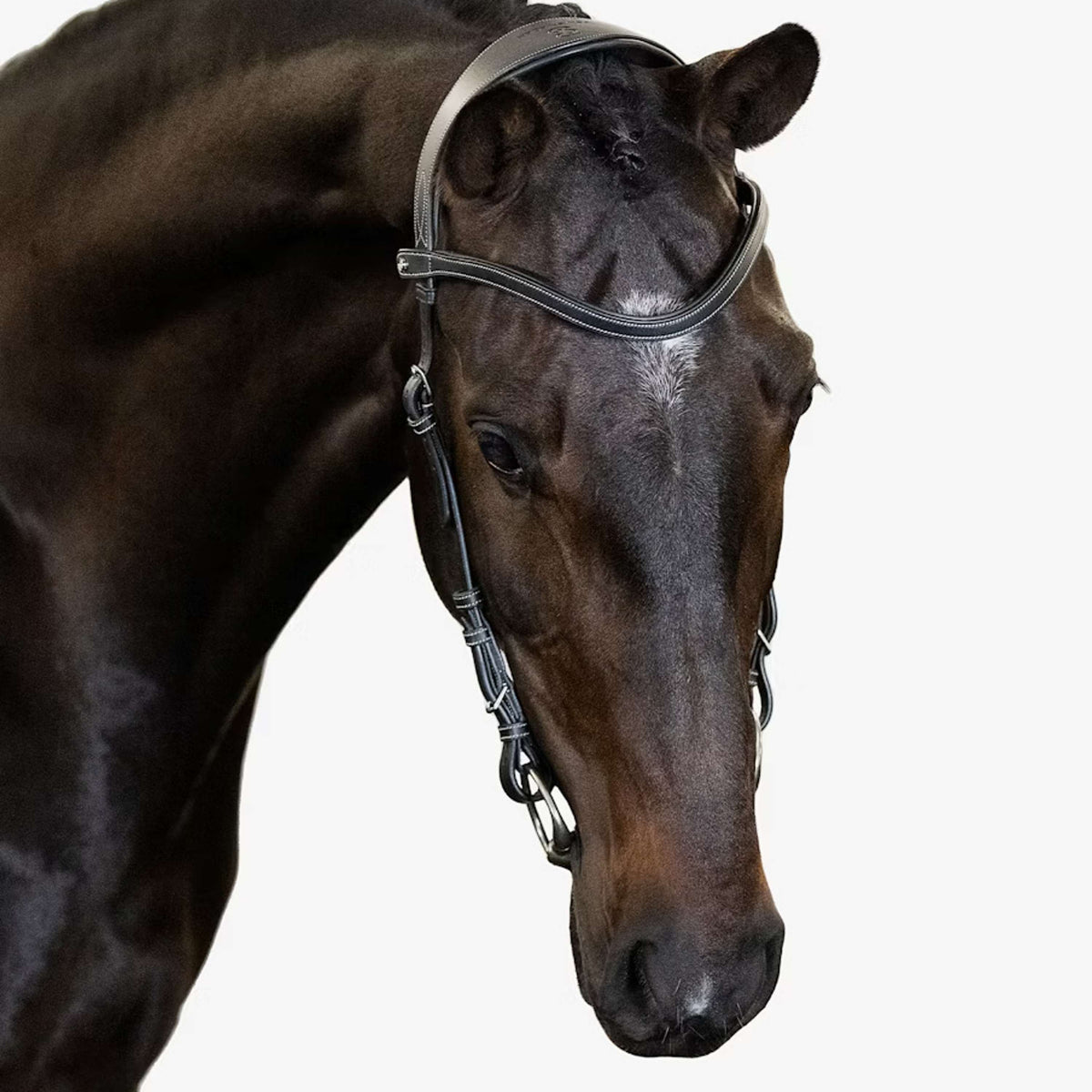 PS of Sweden Brida Helsinki Negro