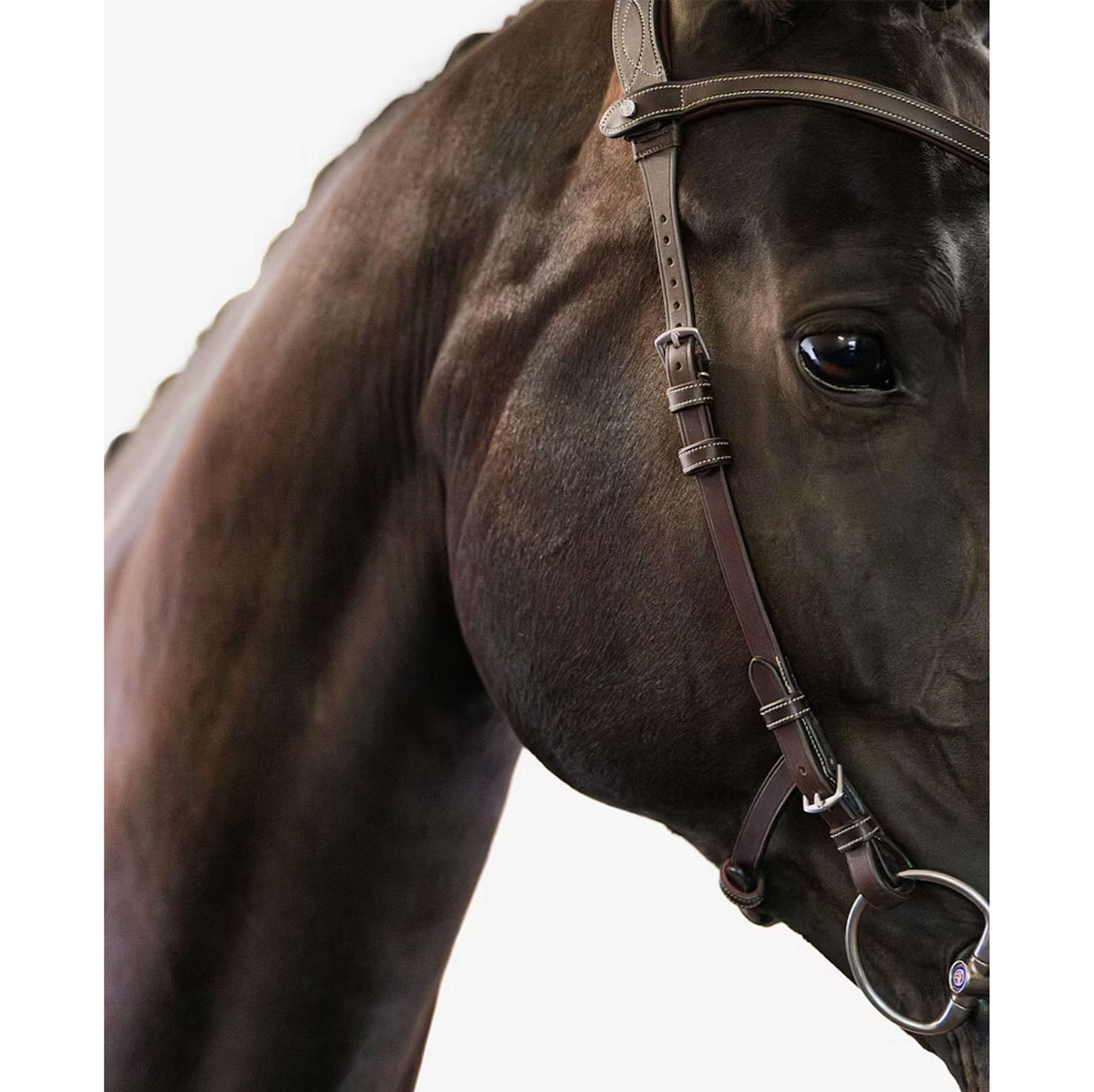 PS of Sweden Brida Helsinki Marron