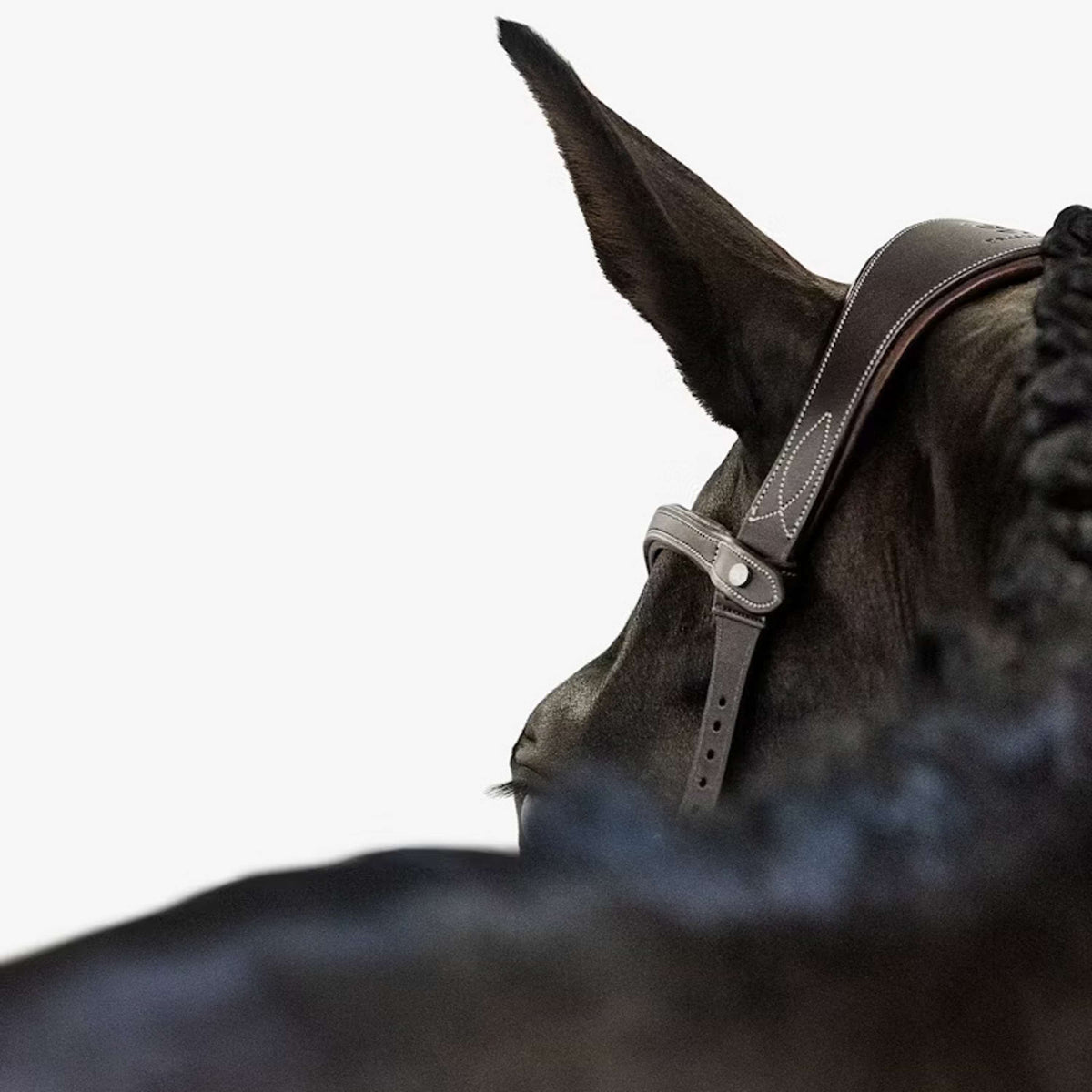 PS of Sweden Brida Helsinki Marron