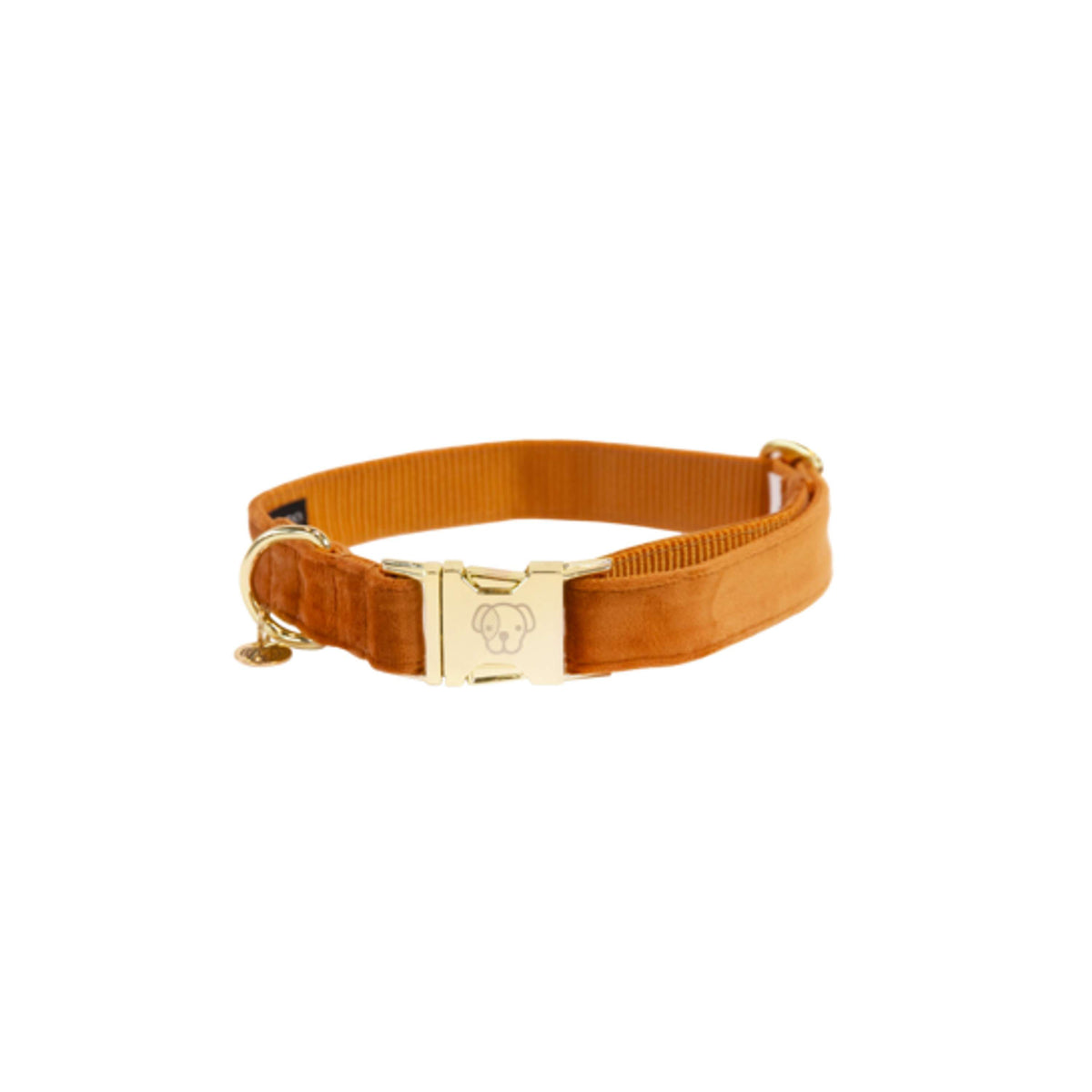Kentucky Dogwear Halsband Velvet Naranja