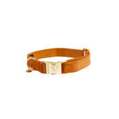 Kentucky Dogwear Halsband Velvet Naranja
