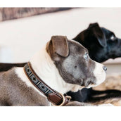 Kentucky Dogwear Halsband Perlas Hechas a Mano Plata