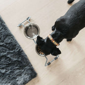 Kentucky Dogwear Halsband Handmade Pearls Pure Orange