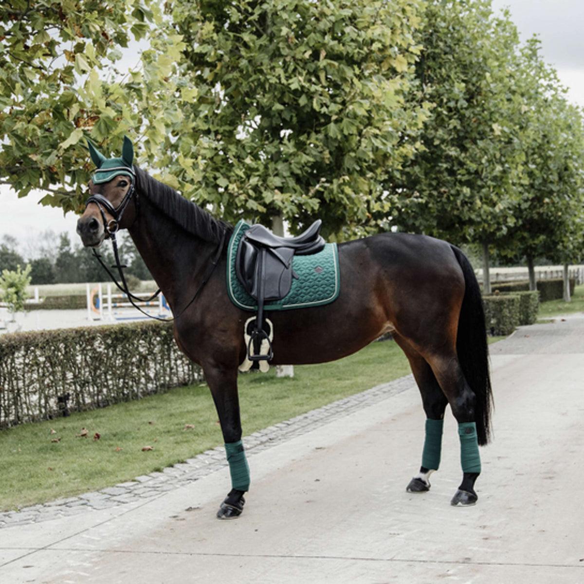 Kentucky Horsewear Mantilla Velvet Pearls Doma clásica Pine Green