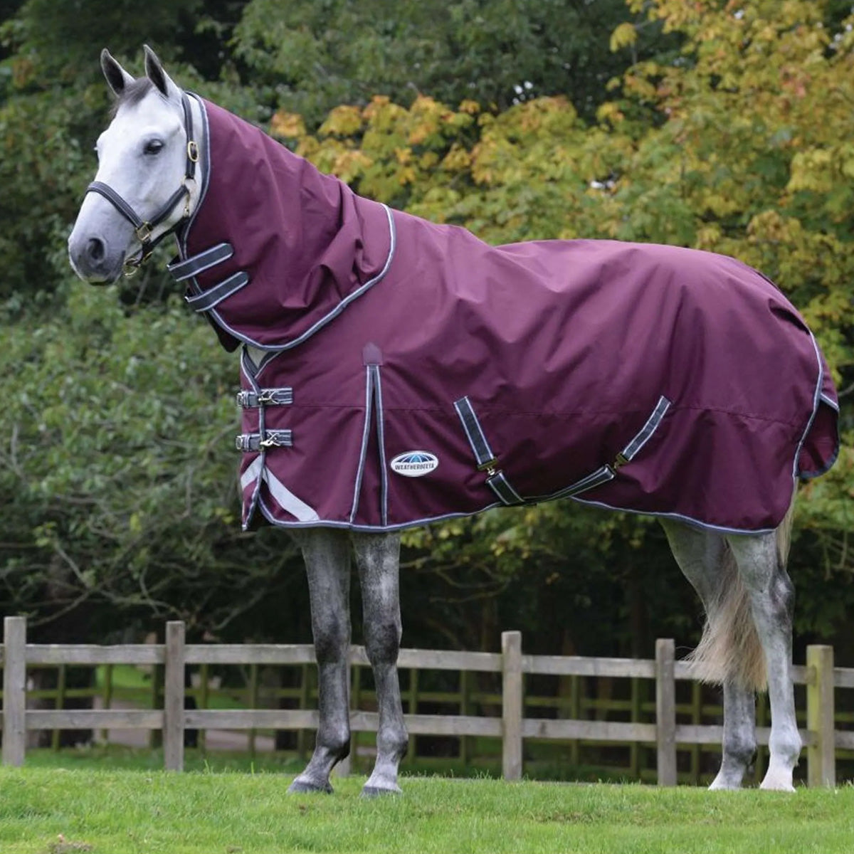 Weatherbeeta Manta Impermeable Comfitec Plus Dynamic II Detach-A-Neck Lite Granate/Gris/Blanco