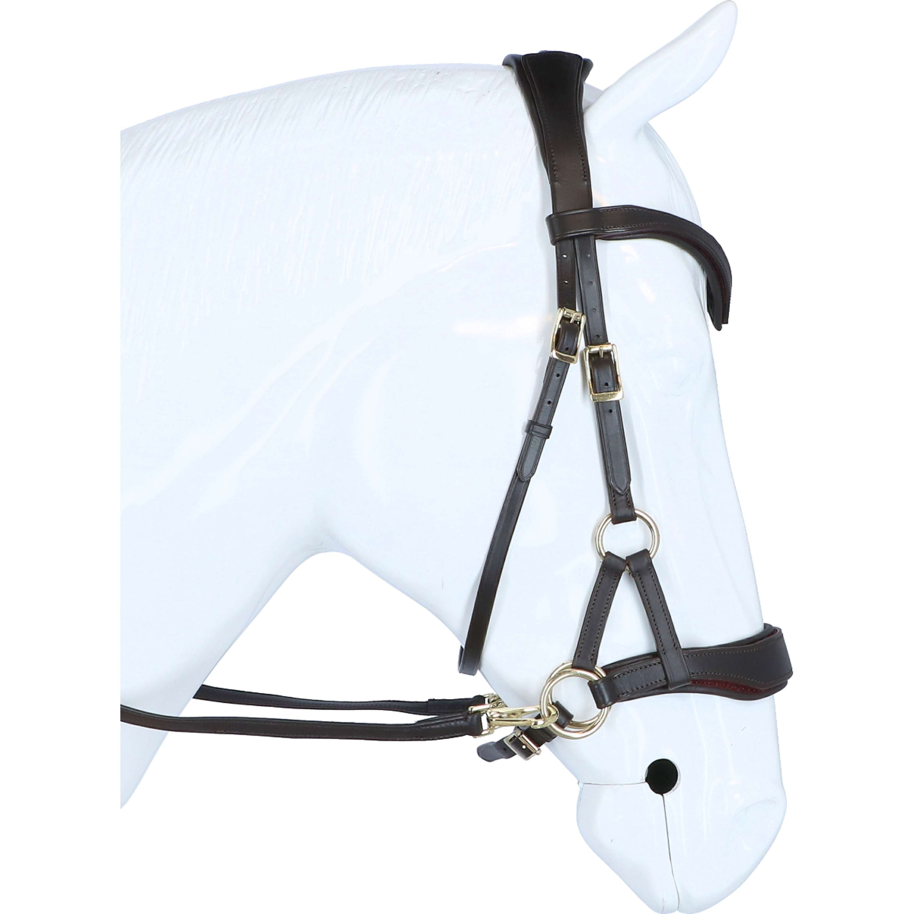 F.R.A. Brida sin Bocado Aruba Side Pull Negro