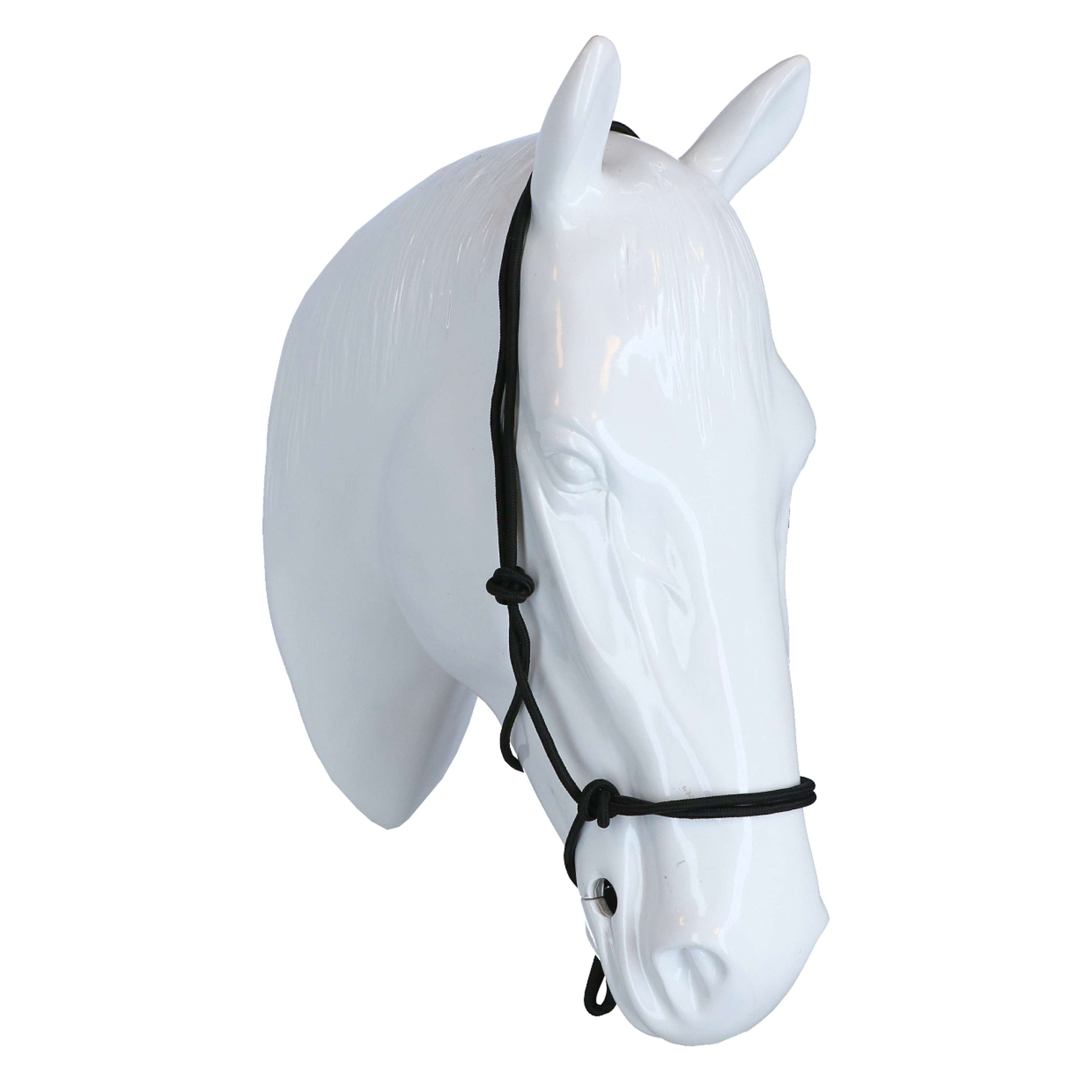 F.R.A. Cabezada de entrenamiento Babia Nylon Negro F.R.A. Cabezada de entrenamiento Babia Nylon Negro