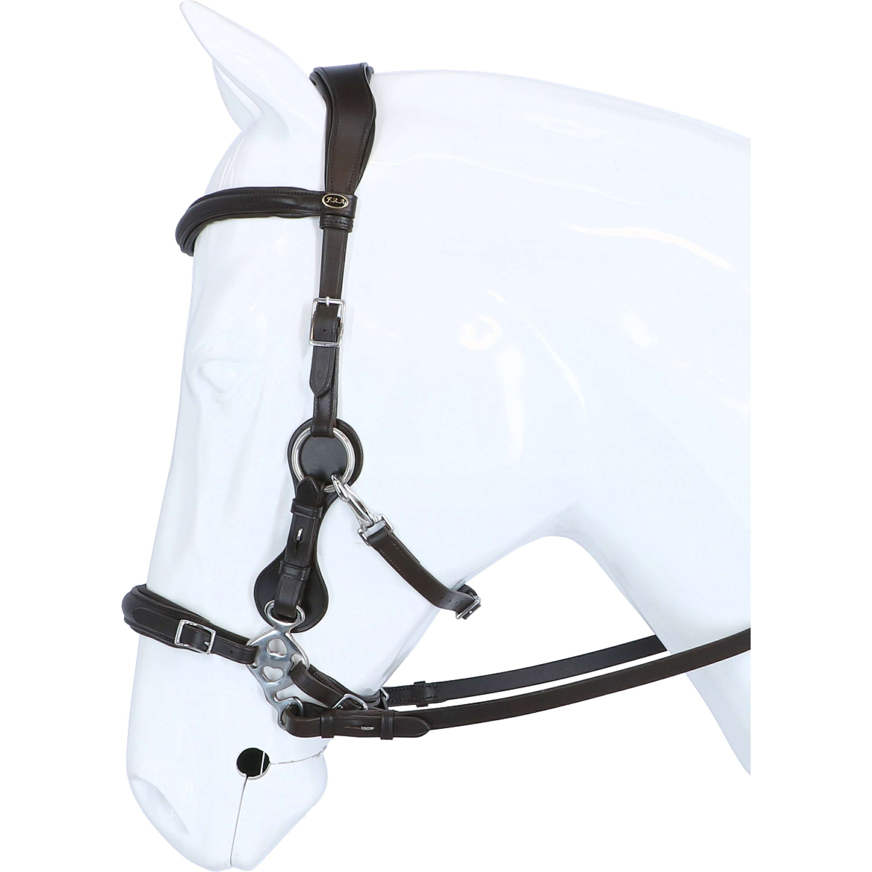 F.R.A. Hackamore Hackamore Calli Habana