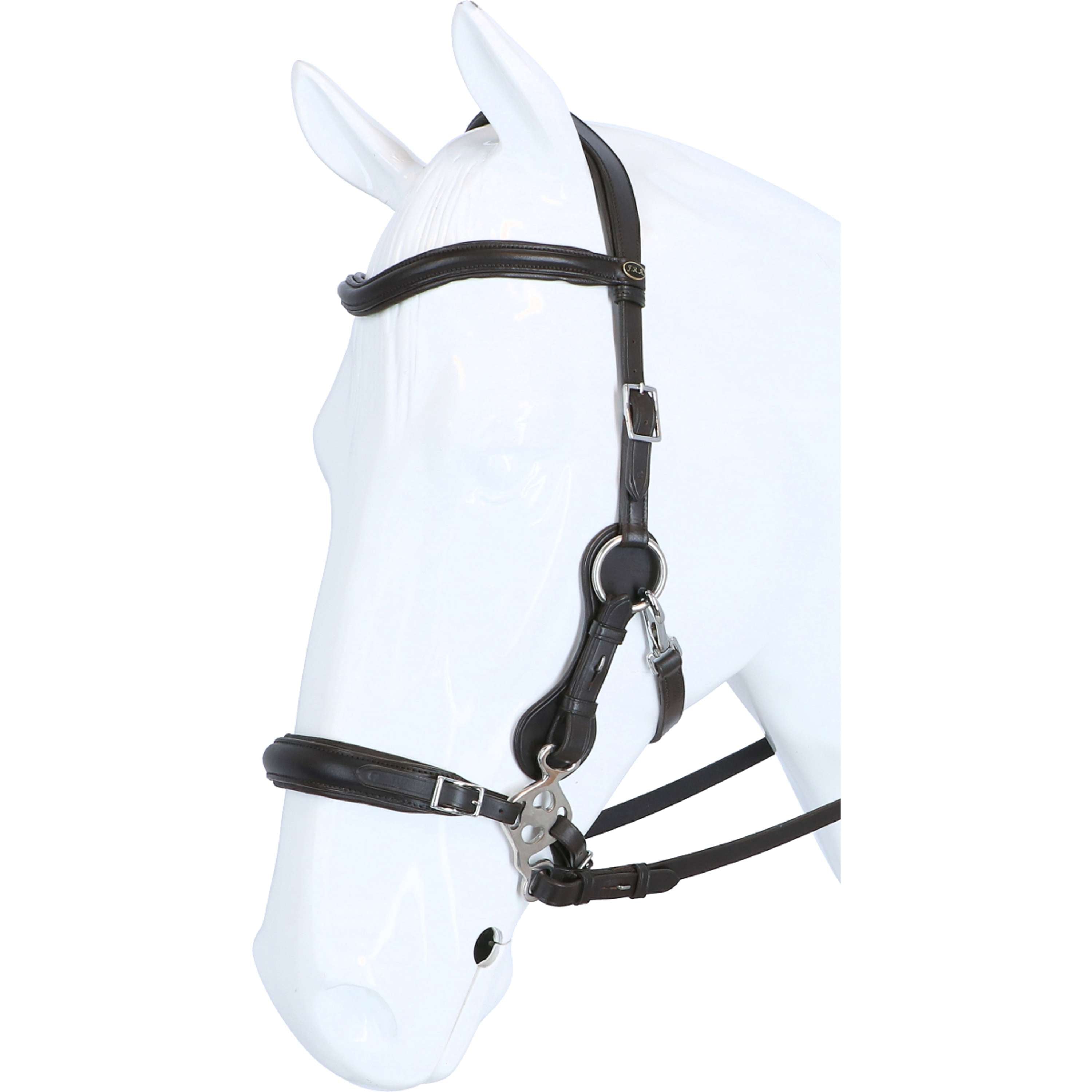 F.R.A. Hackamore Hackamore Calli Habana