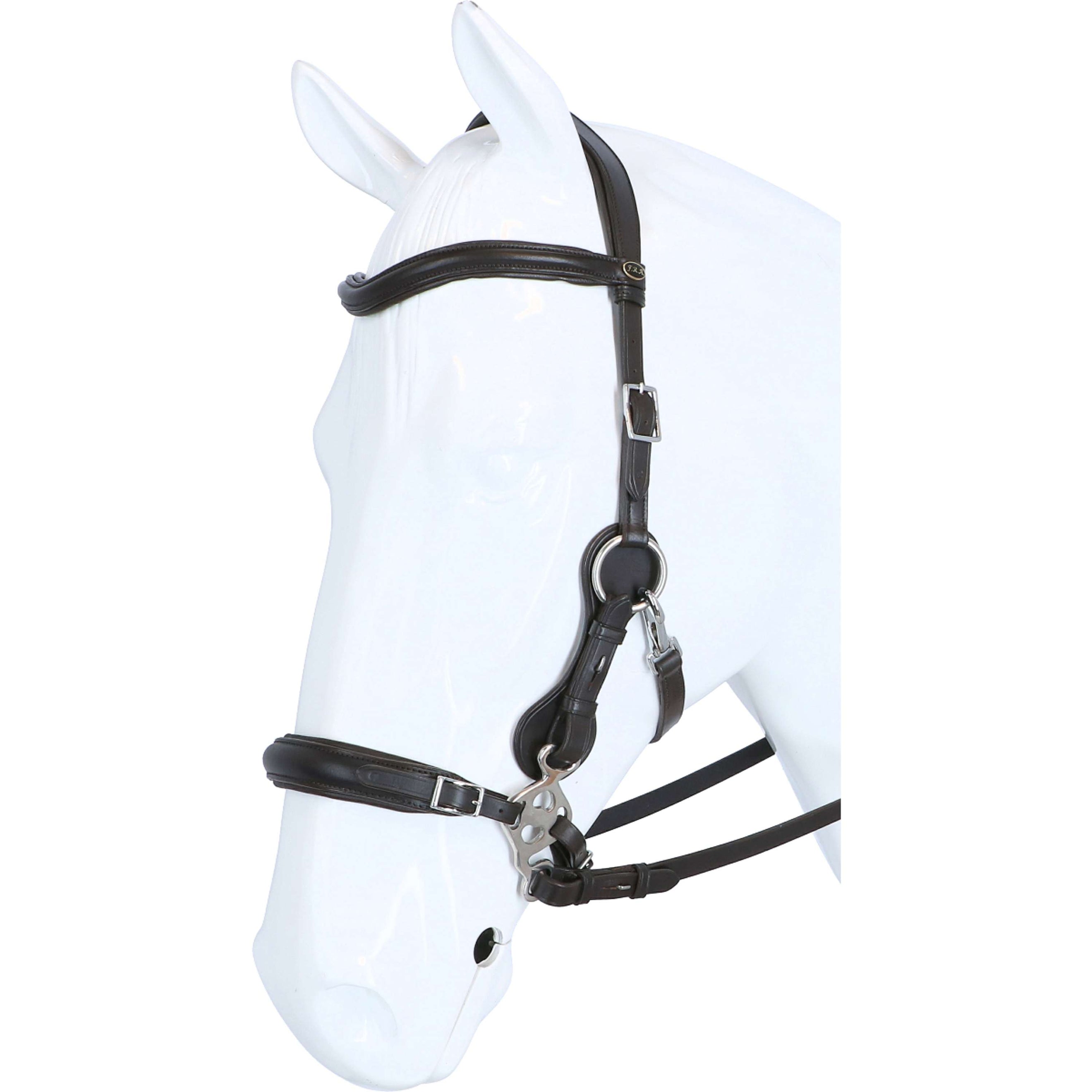 F.R.A. Hackamore Hackamore Calli Habana
