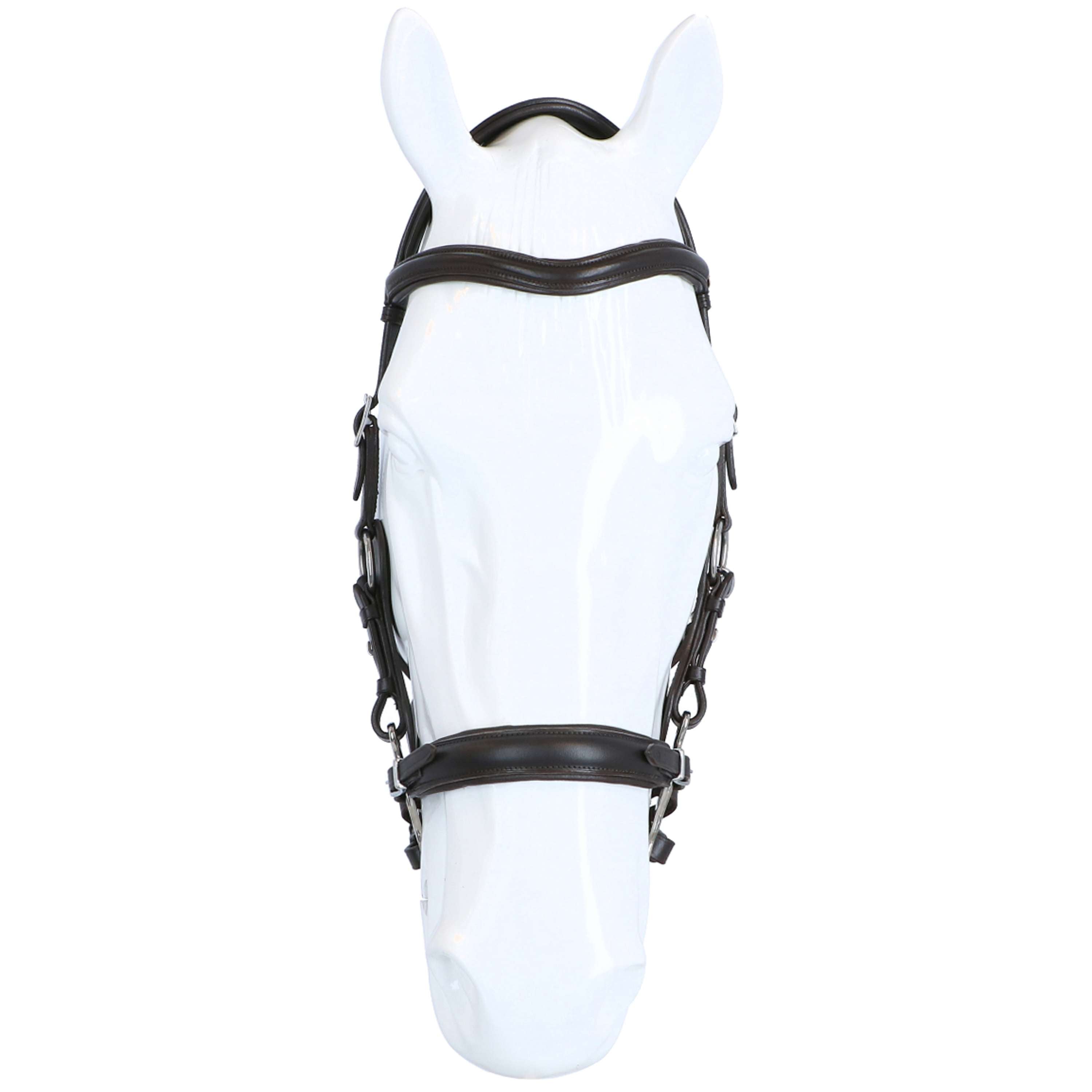F.R.A. Hackamore Hackamore Calli Habana