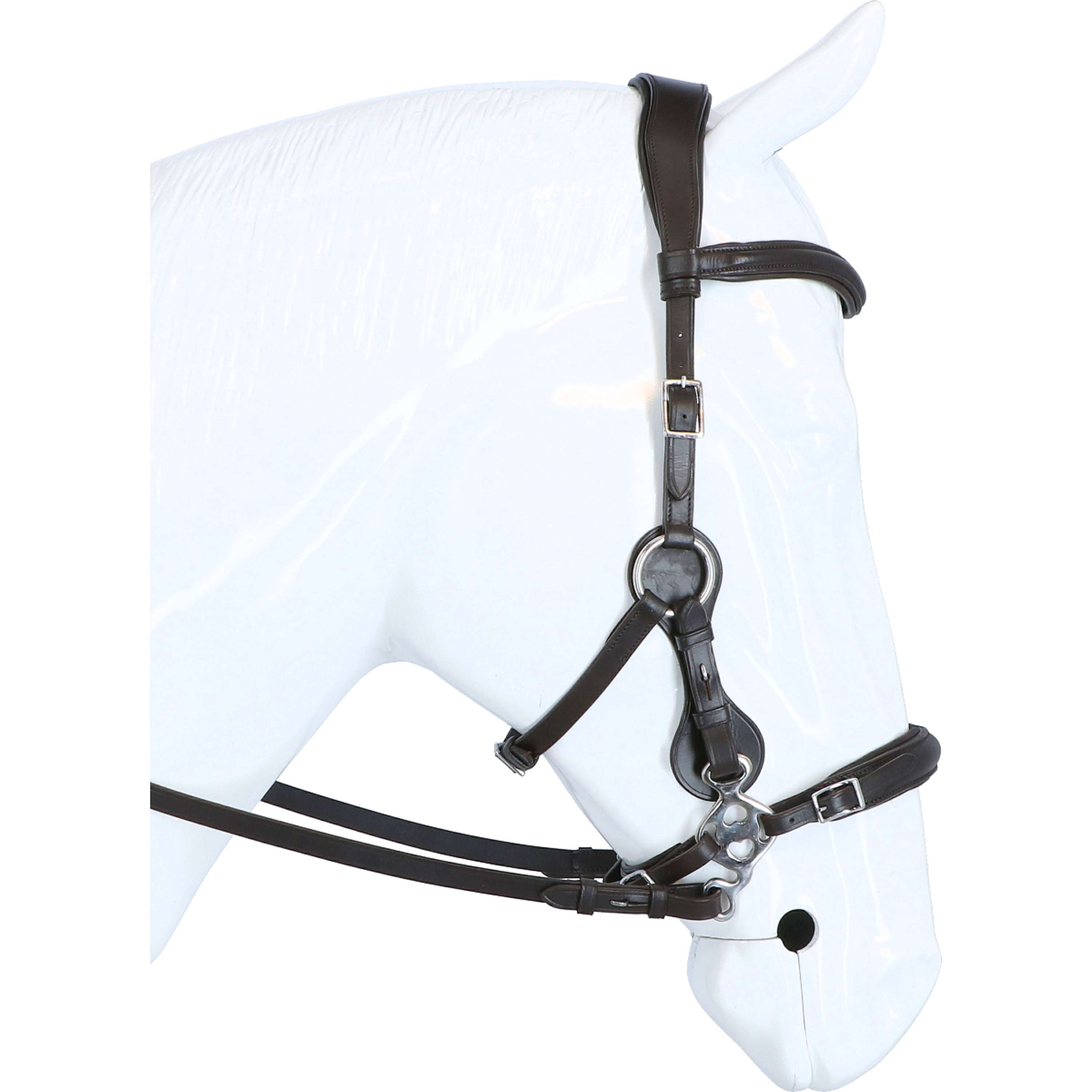 F.R.A. Hackamore Hackamore Calli Habana