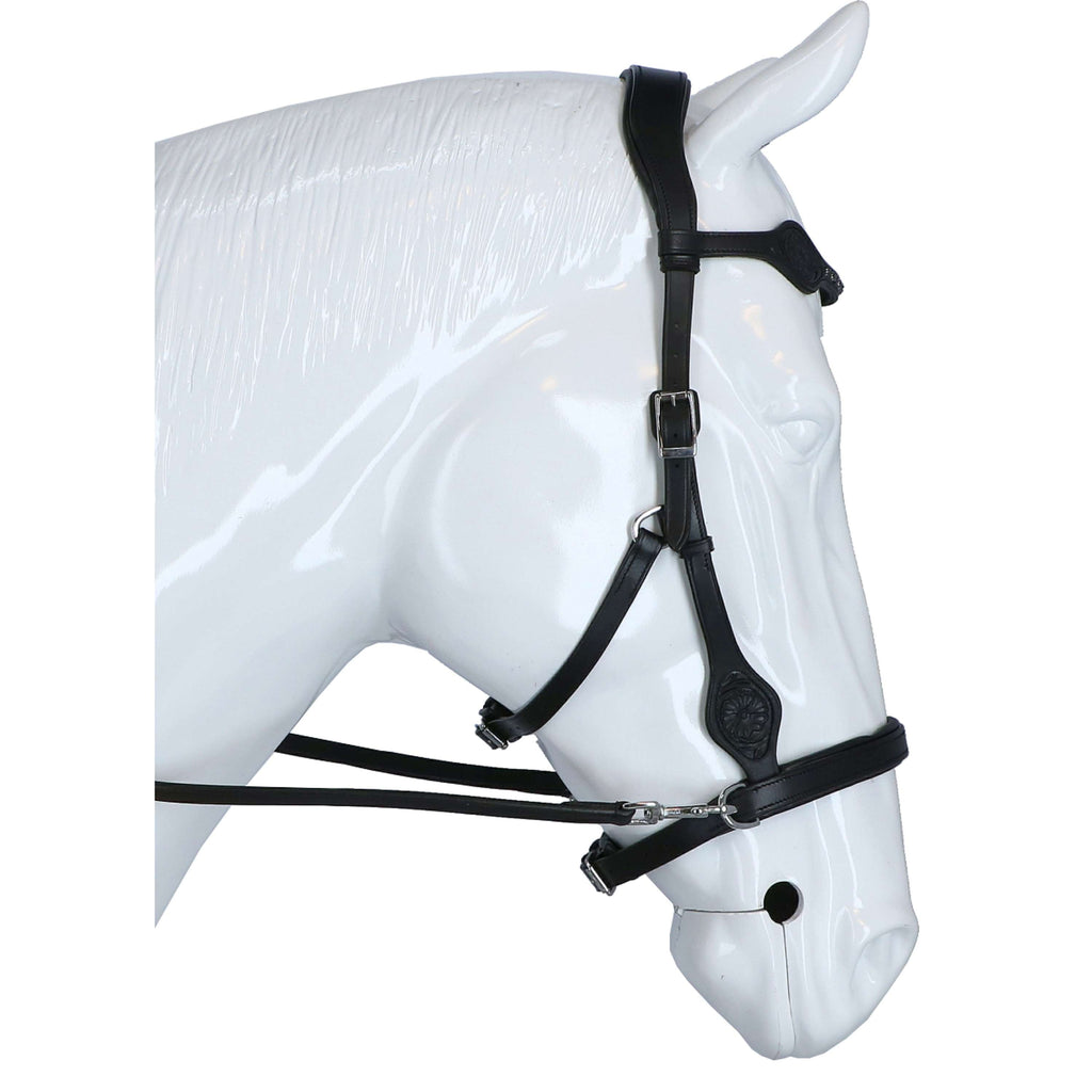 F.R.A. Brida sin Bocado Dandy Side Pull Rein Negro