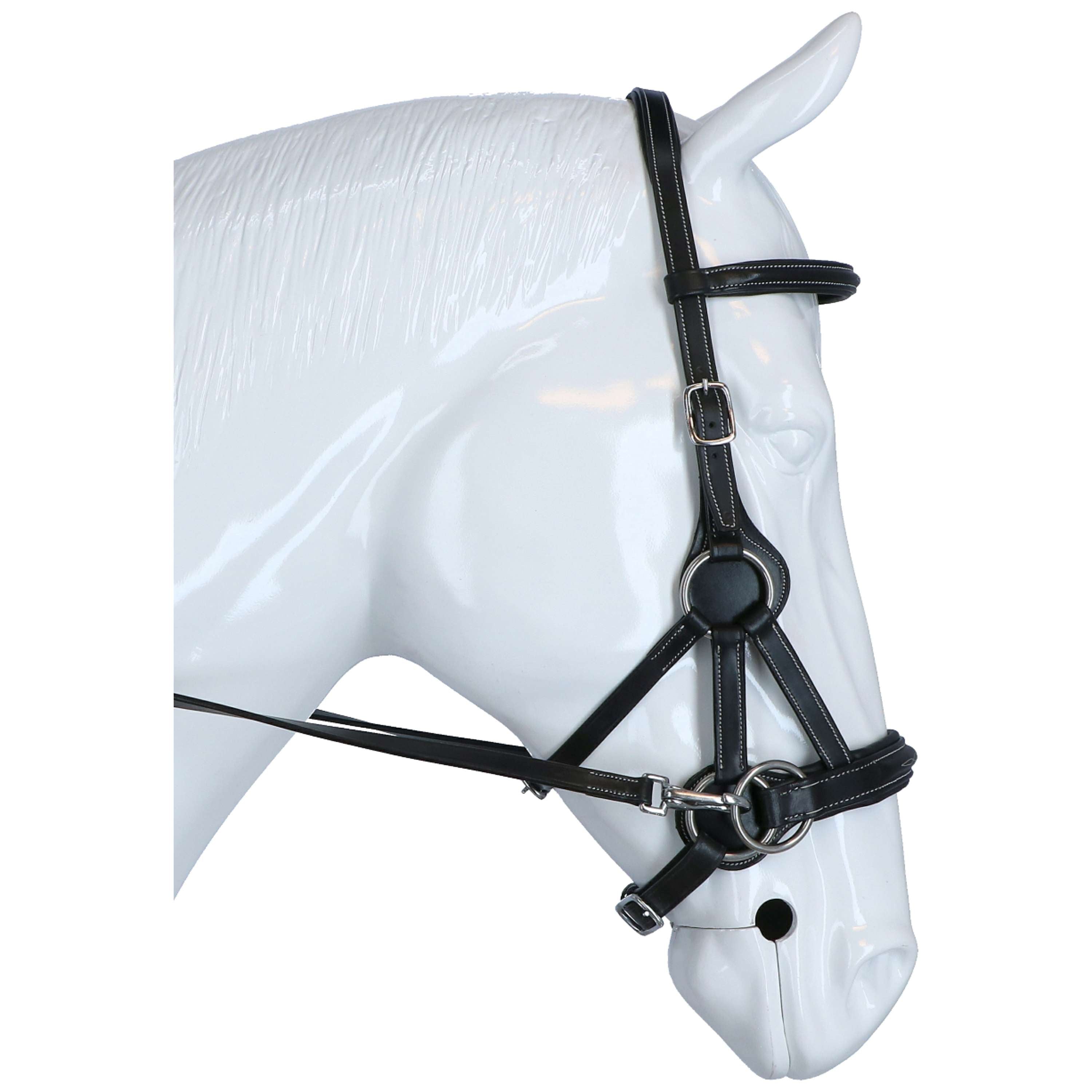 F.R.A. Brida sin Bocado Flandy Side Pull Negro