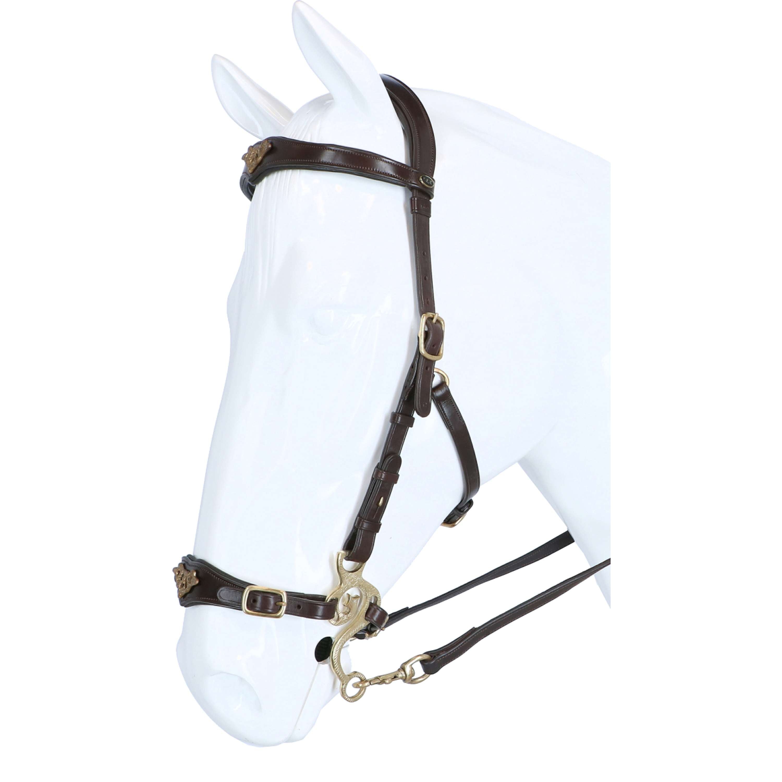 F.R.A. Hackamore Hackamore Imperial Habana
