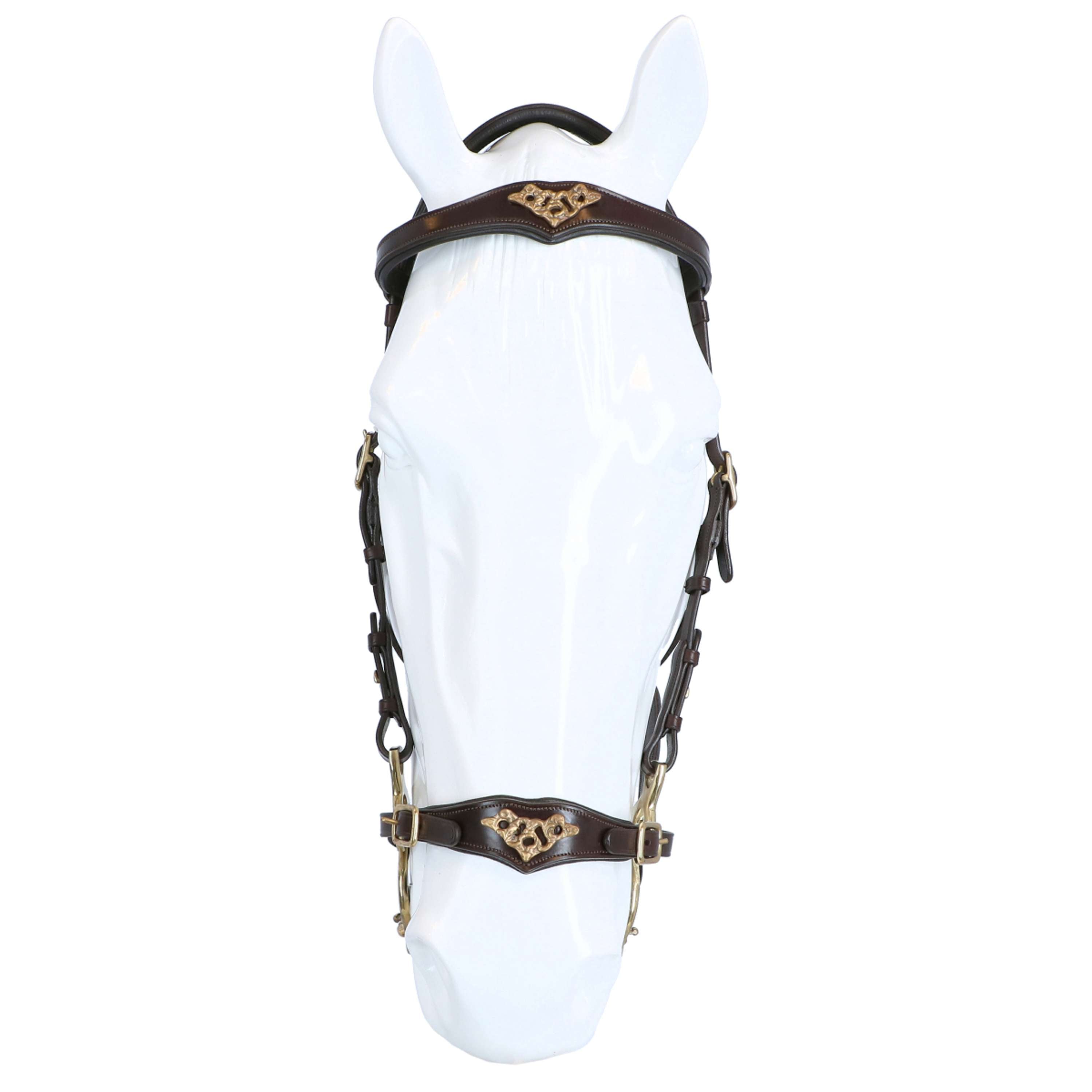 F.R.A. Hackamore Hackamore Imperial Habana