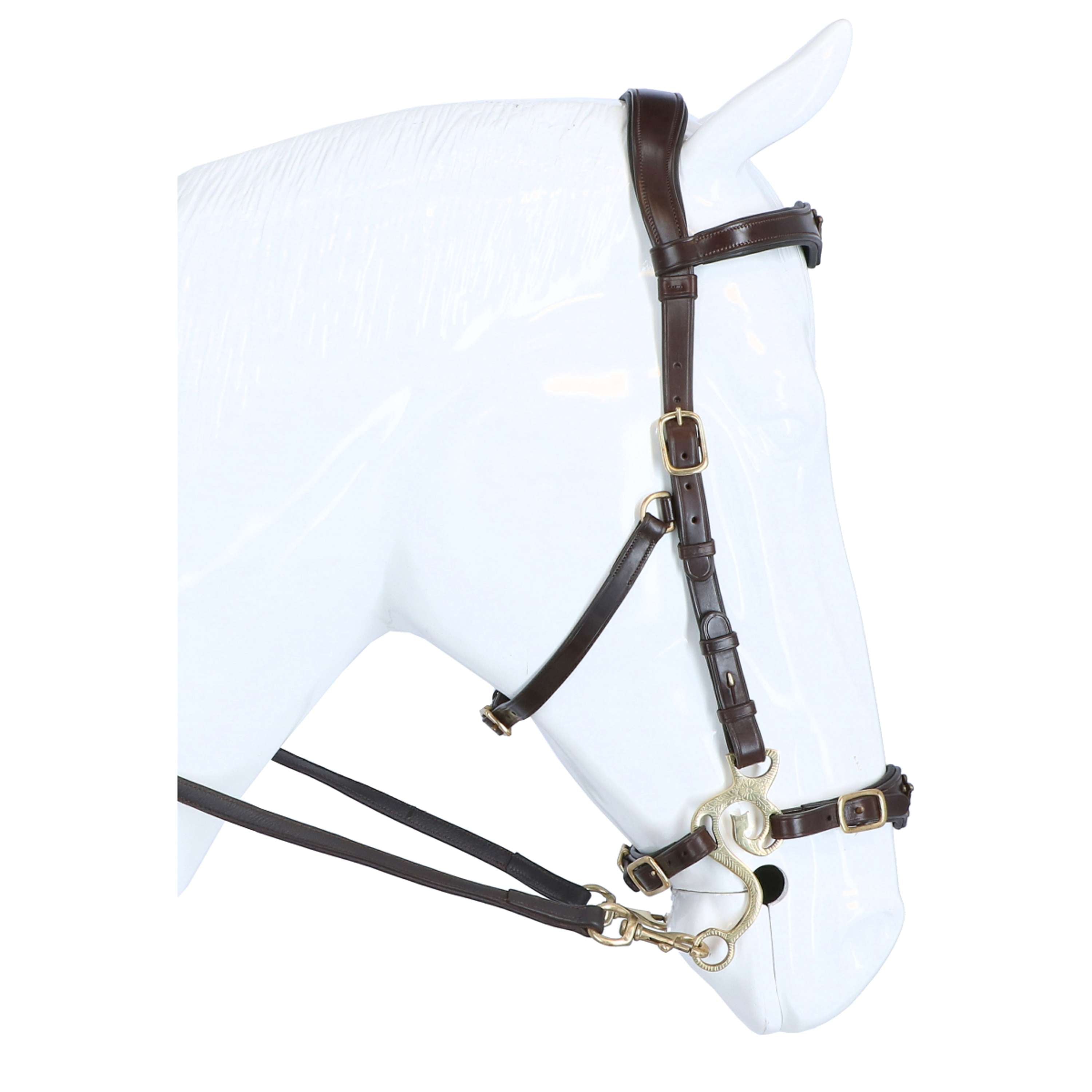 F.R.A. Hackamore Hackamore Imperial Habana