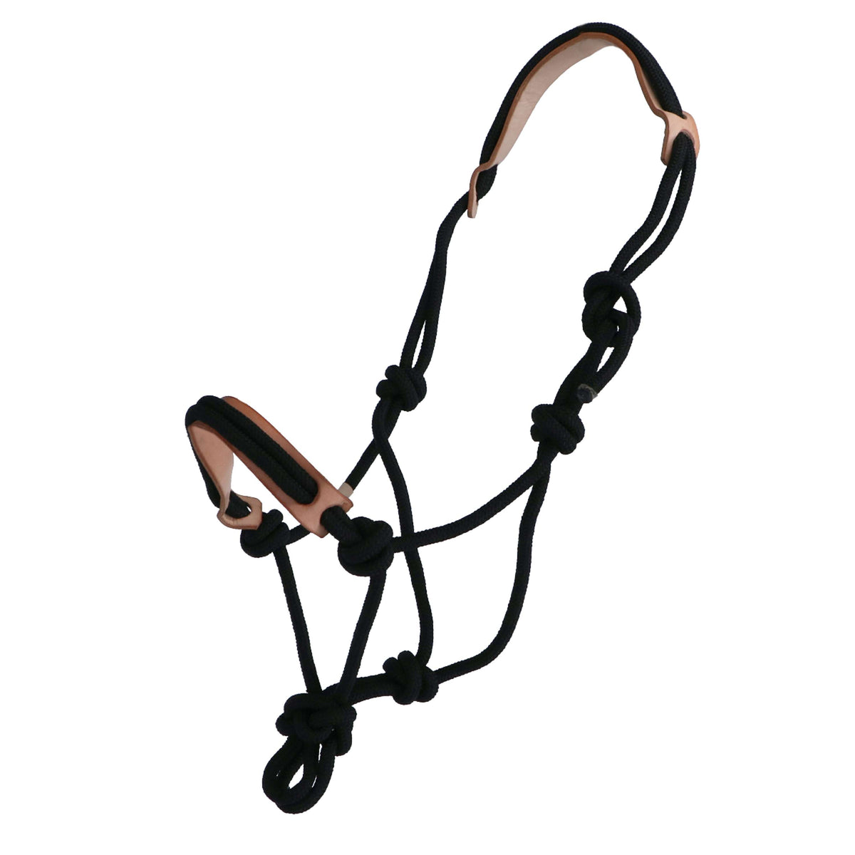 F.R.A. Cabezada de entrenamiento Pablo Profi Syst 8 Nylon/Cuero Negro