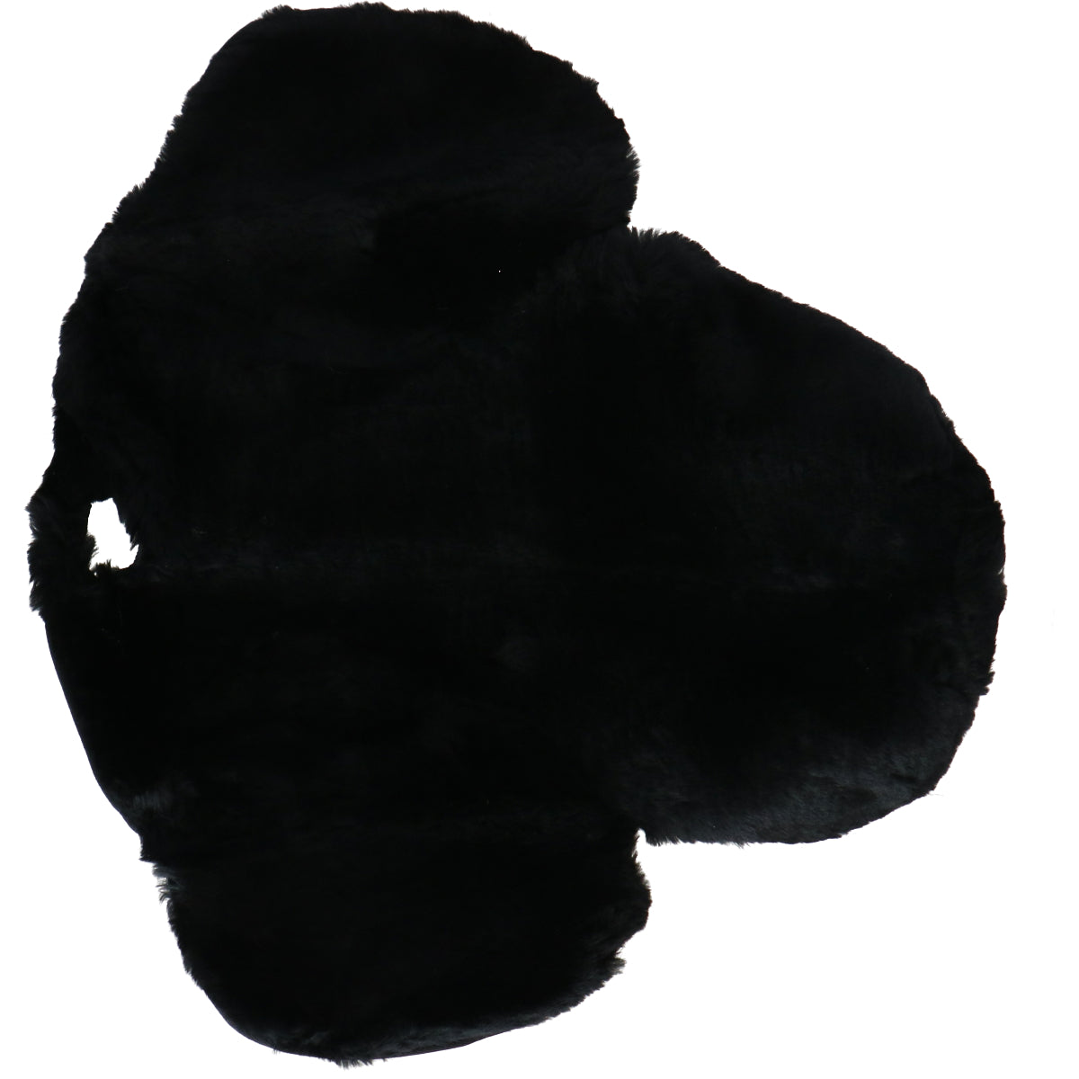 F.R.A. Asiento de Silla R6 Negro