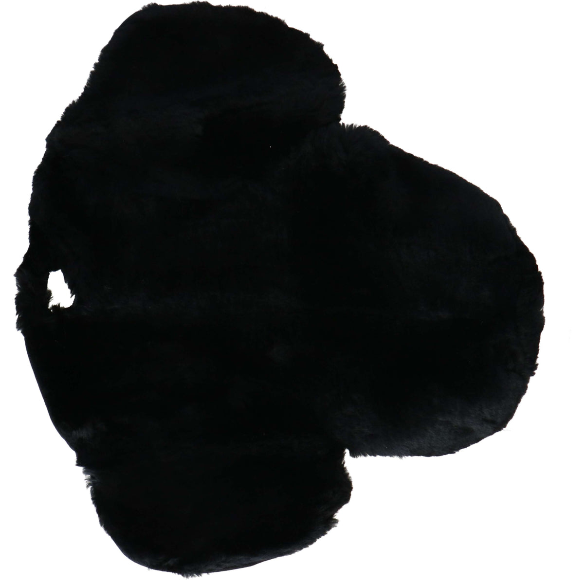 F.R.A. Asiento de Silla R6 Negro