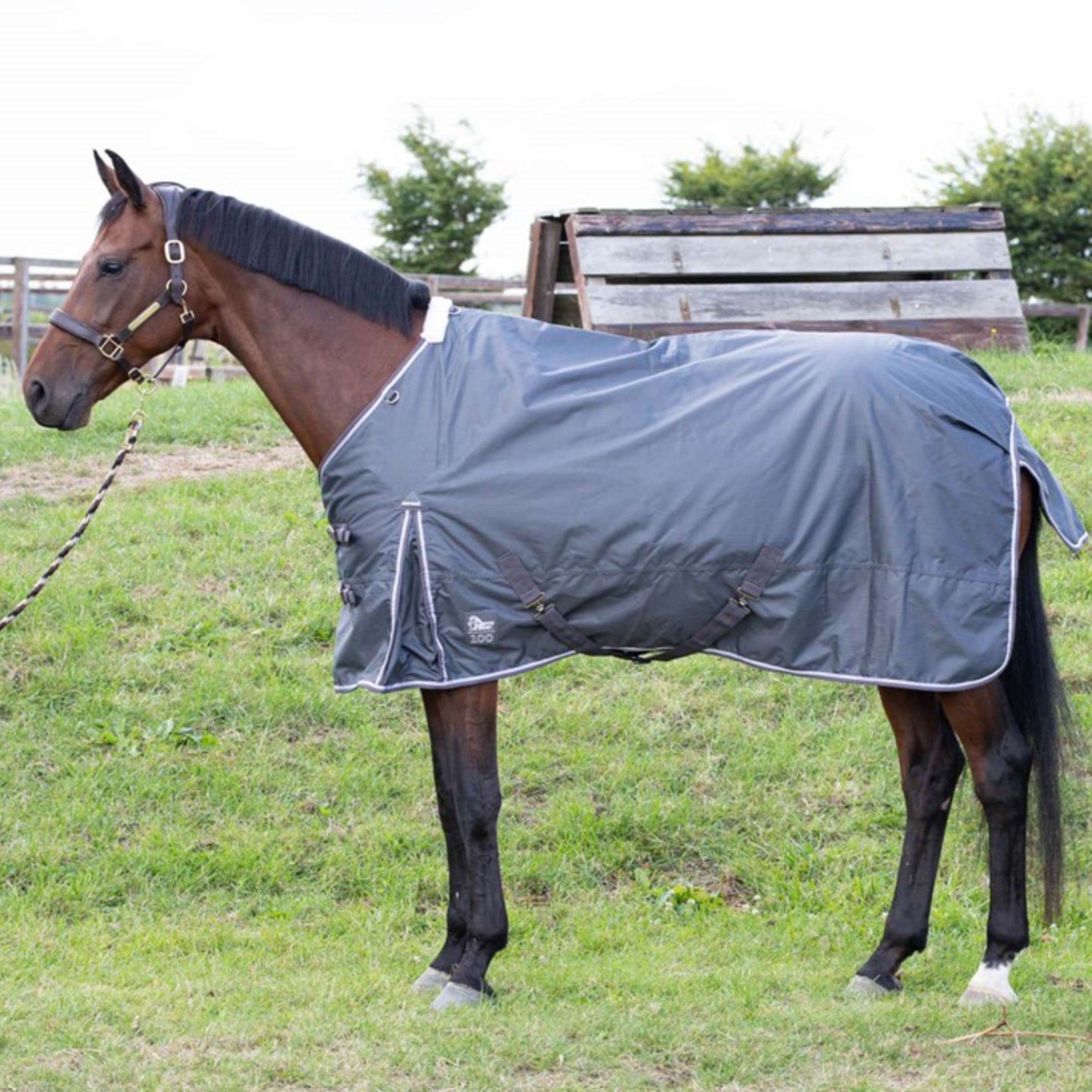 Harry's Horse Alfombra de Exterior Thor 100g Ebano